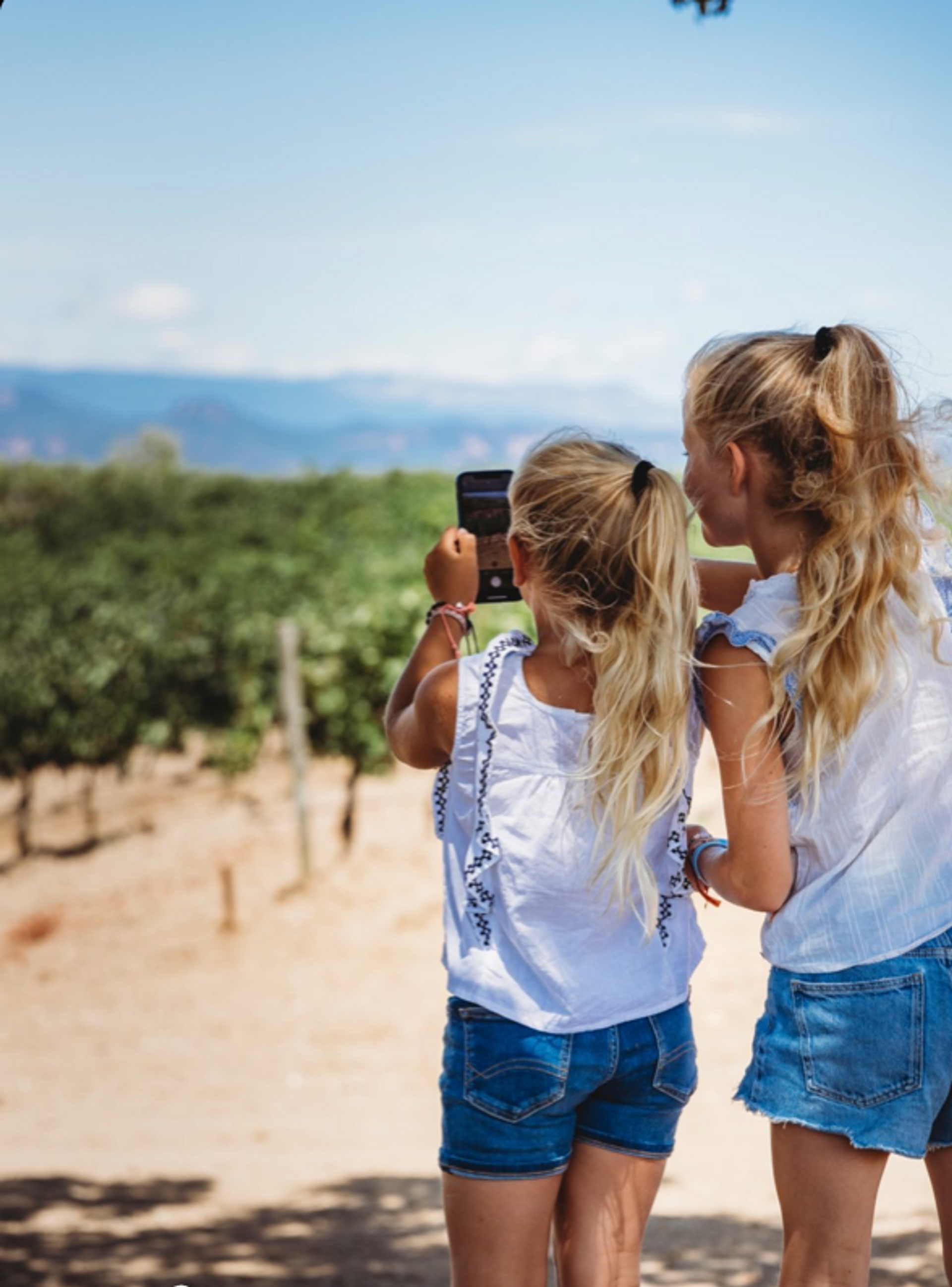 The interactive visit