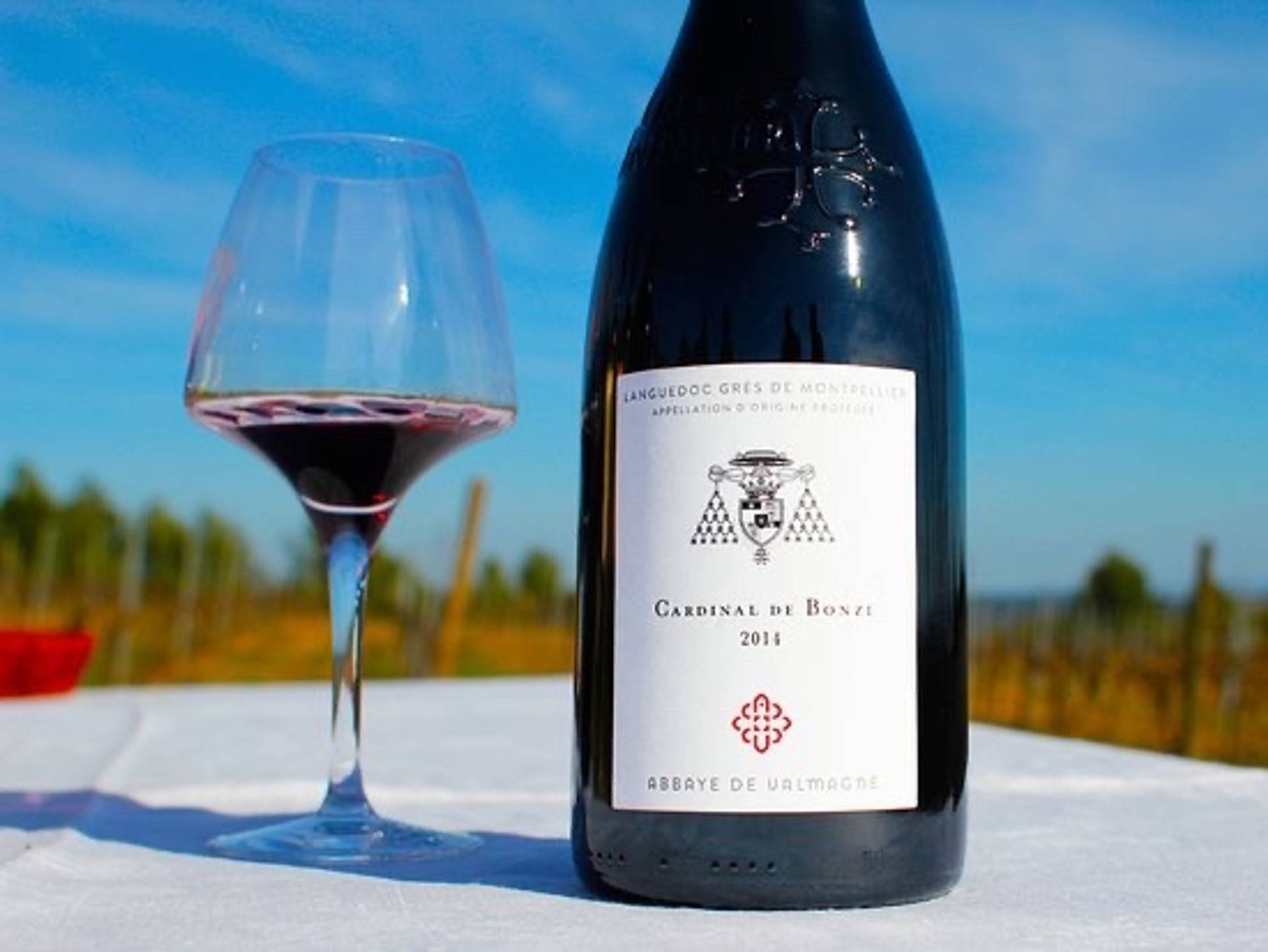 Discovery of the wines of the Abbey