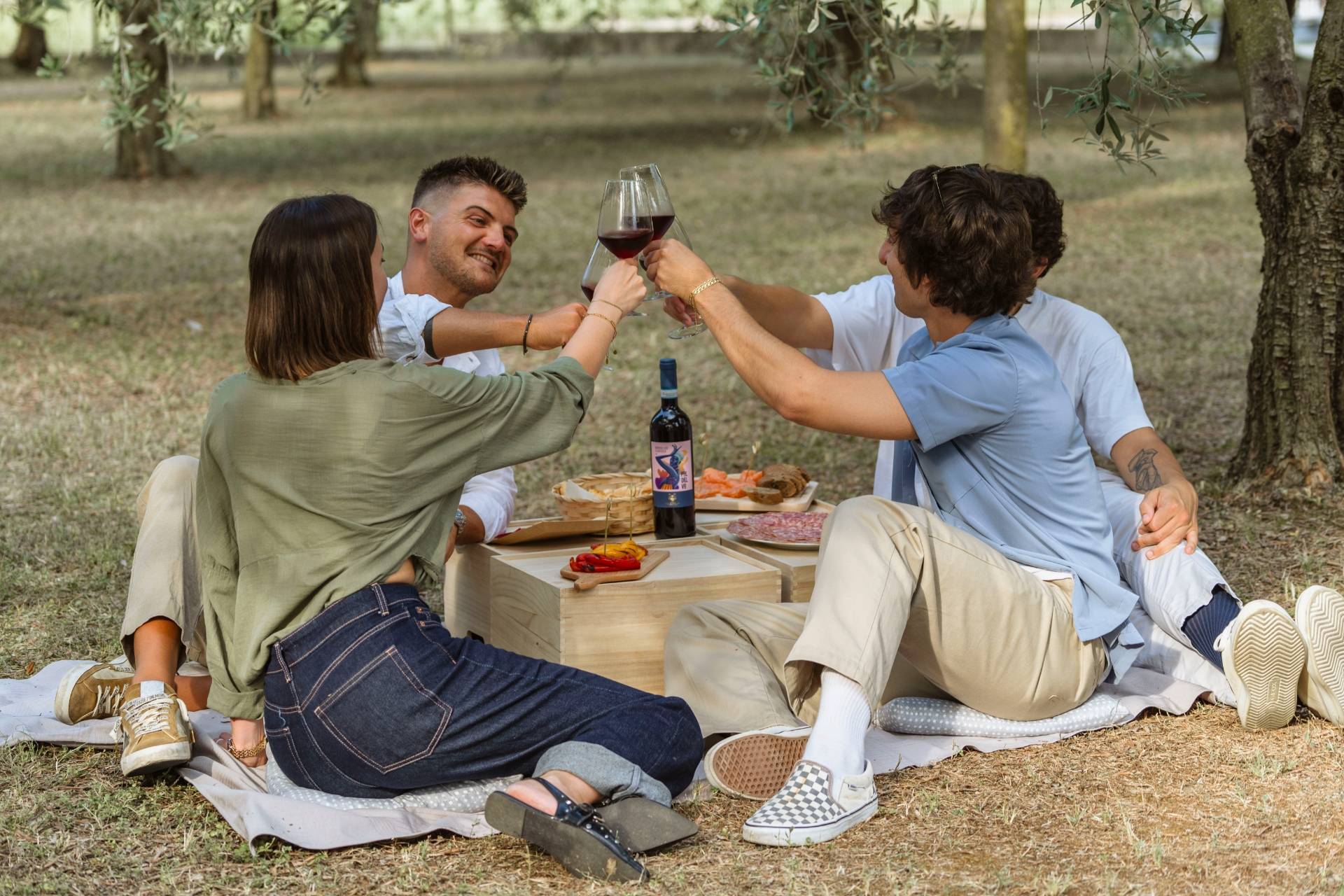 Picnic in the olive grove