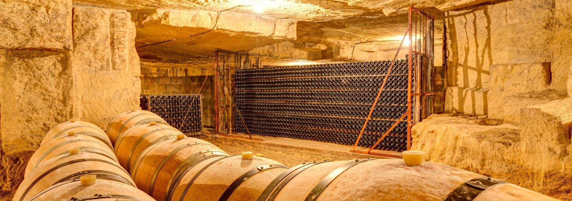 Guided tour and walking trail