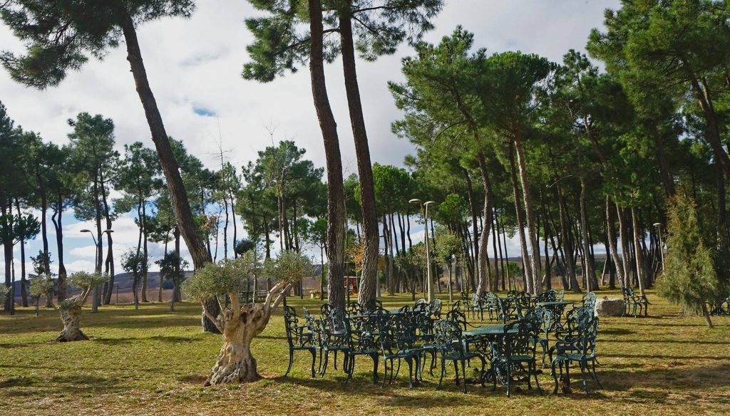 Guided tour + tasting of 2 wines