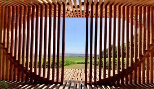 CHAMPAGNE PROPHÈTE & CO