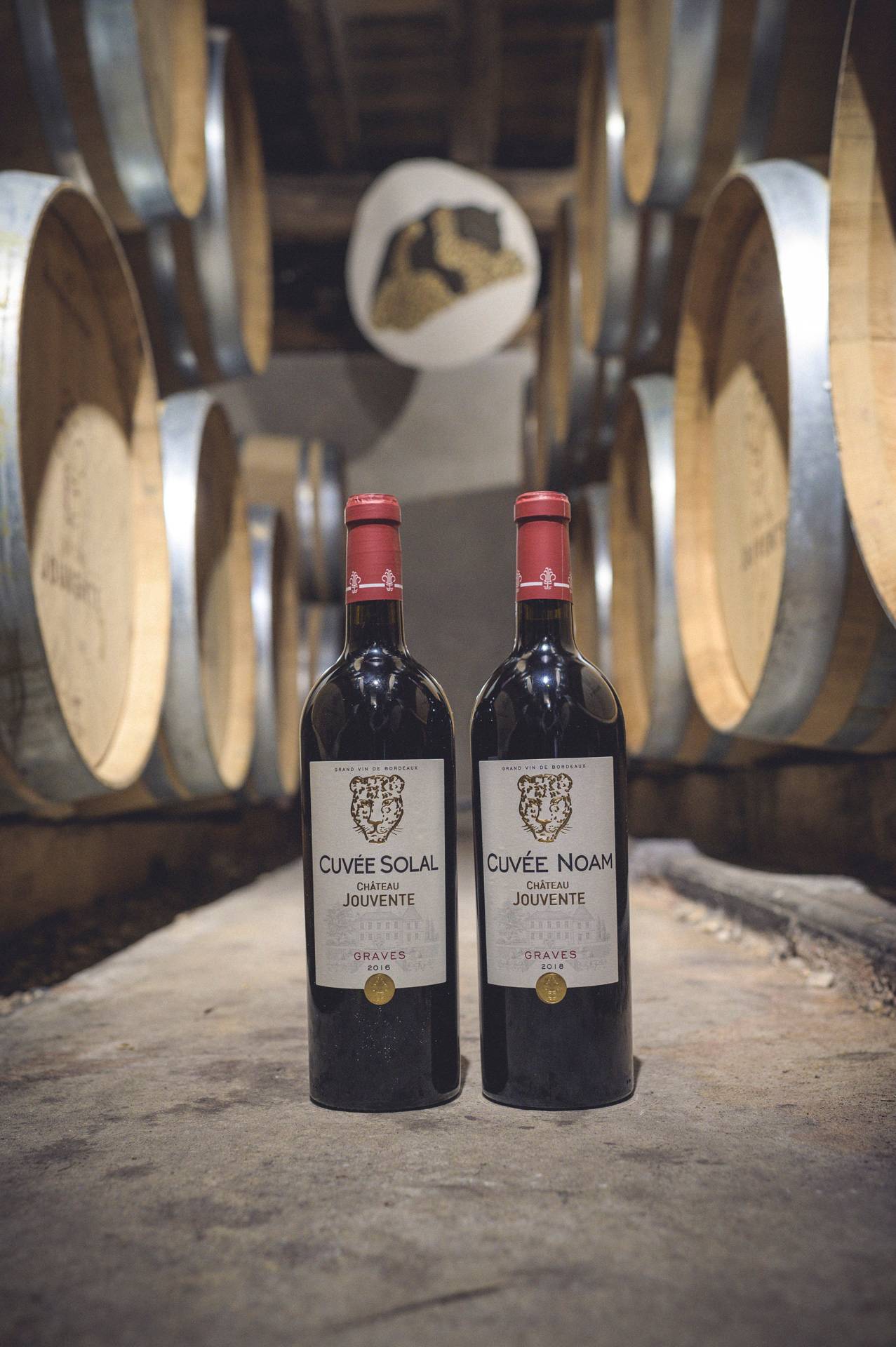 Visit & Tasting “In Vino”