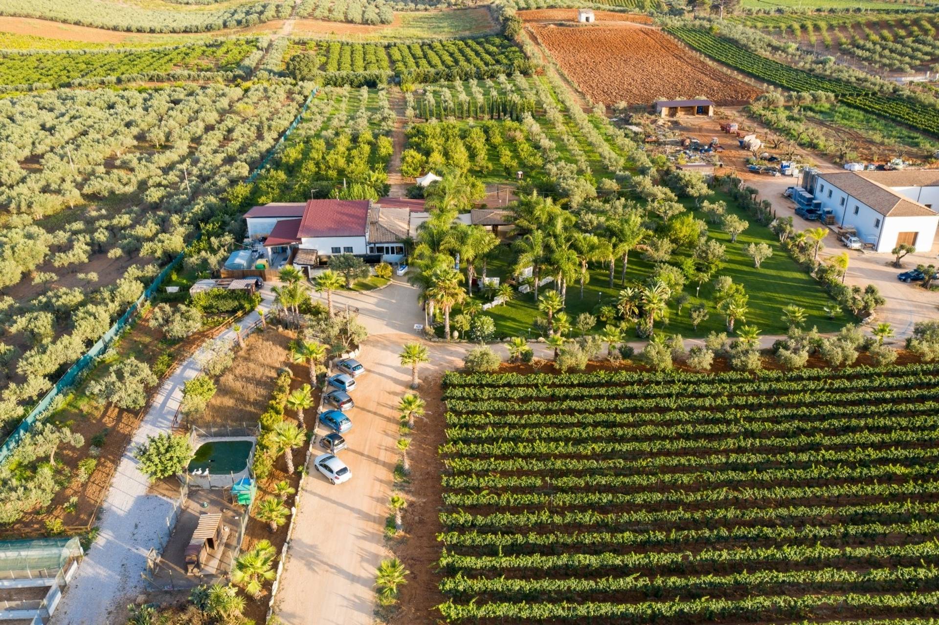 AUGUSTALI DI FILOMENA AMMOSCATO