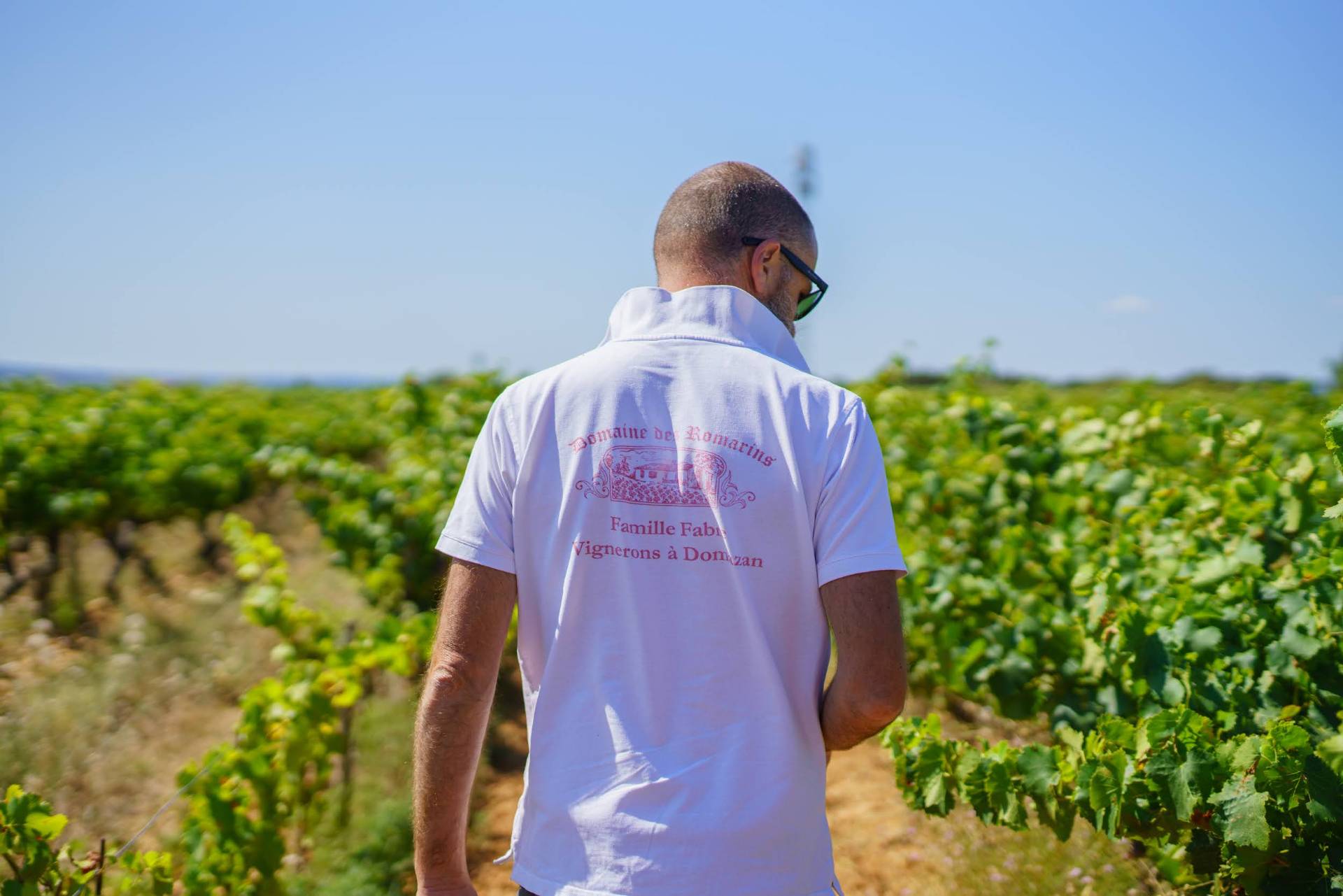 The winegrower’s walk