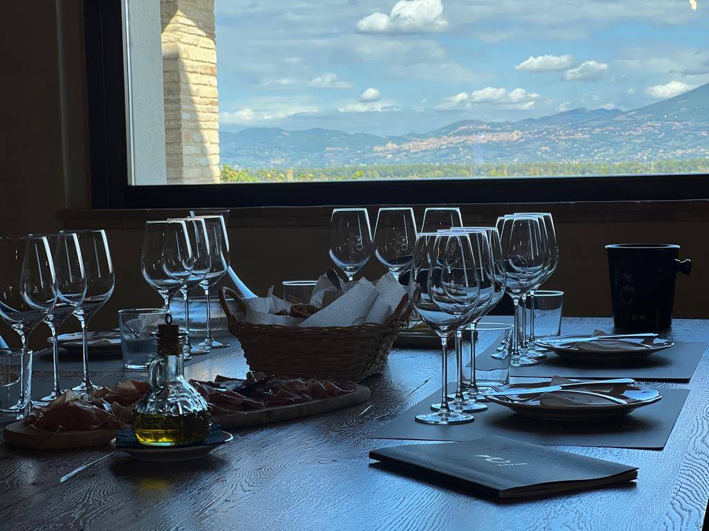 From the vineyard to the wineshop: cellar and tasting