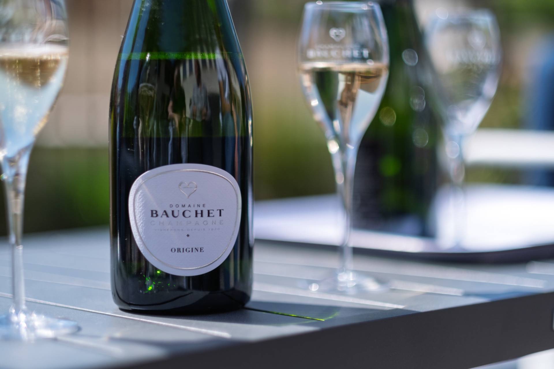 Tasting of a vintage