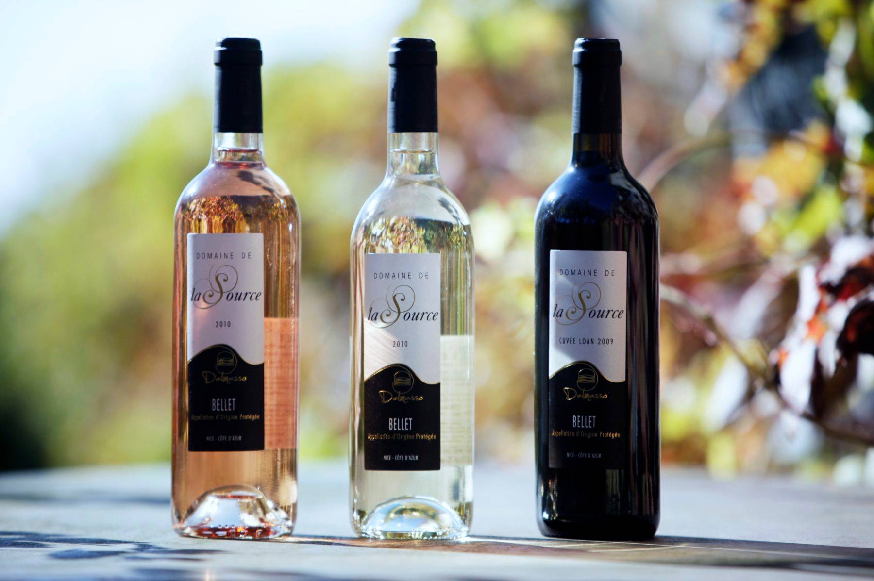 Discovery of the Niçois vineyard and the organic wines of Bellet