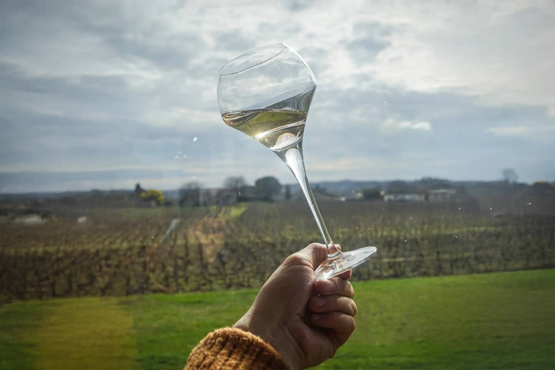 Chilled Tasting (White, Rosé & Sparkling Wine)