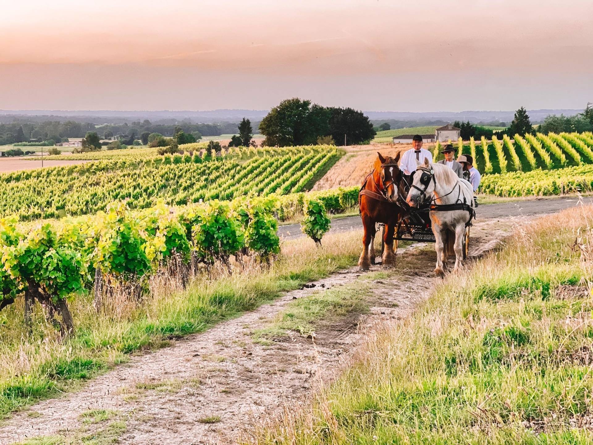 Sunset carriage ride