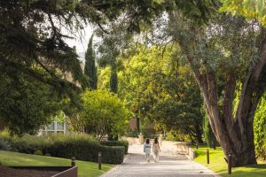 BODEGAS MARQUÉS DE CÁCERES