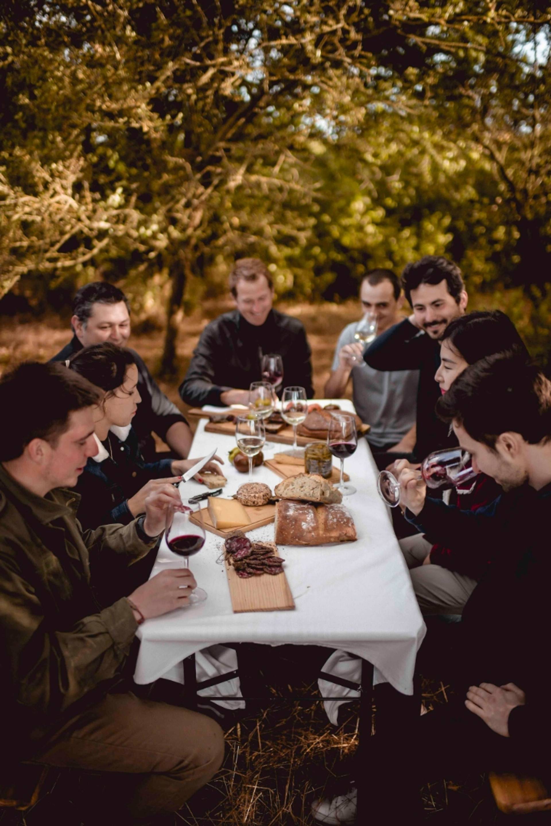 Visit of the estate with food and wine pairings