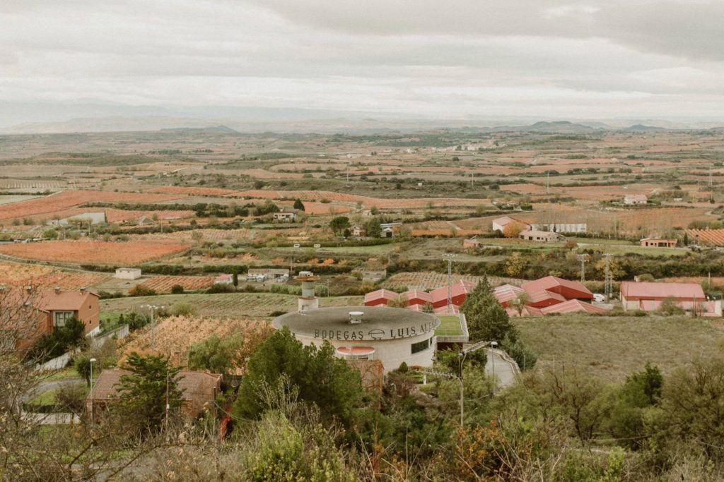 Winery visit and tasting