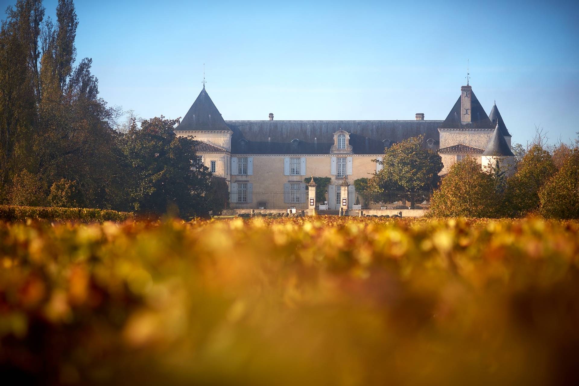 CHÂTEAU SUDUIRAUT 1ER CRU CLASSÉ DE SAUTERNES