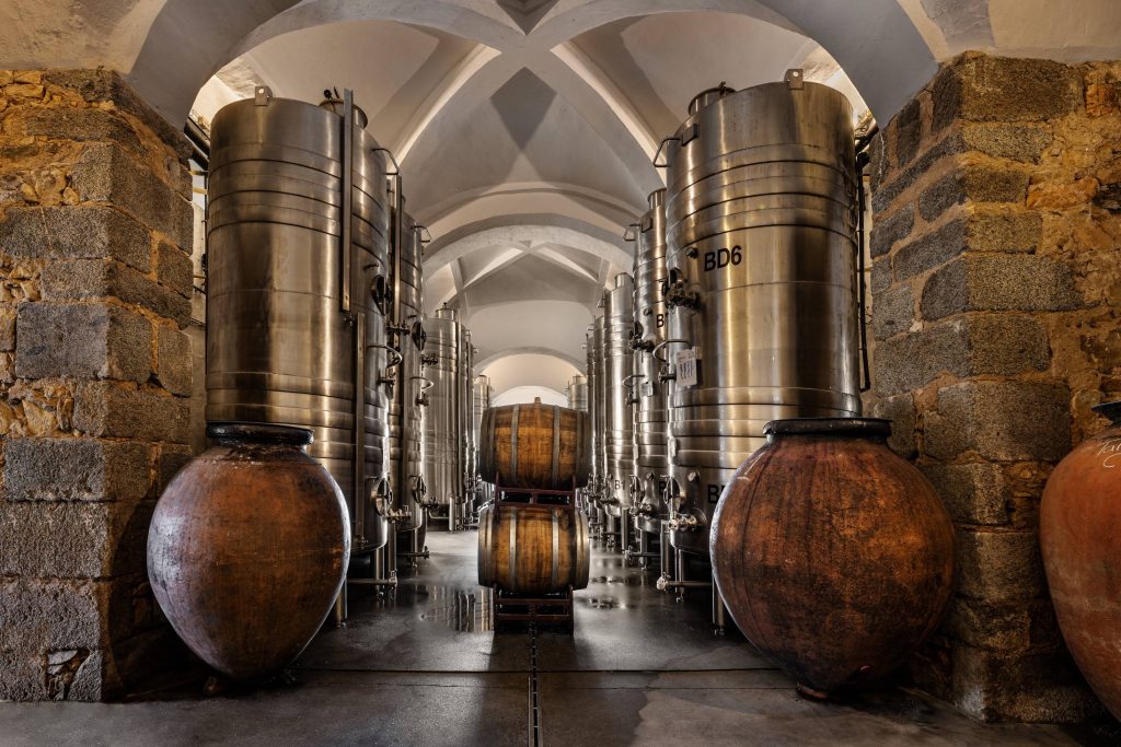 Wine Geek – Visit & Tasting of 7 wines