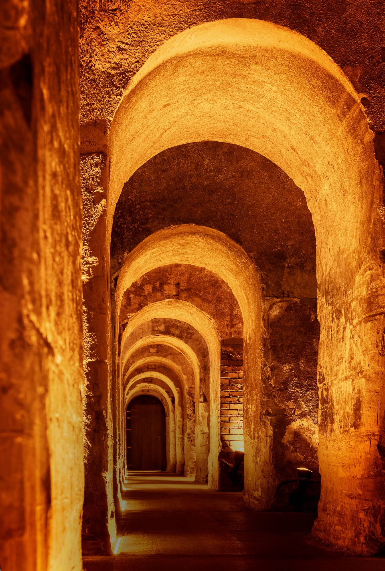 Vintage Grand Cru Experience