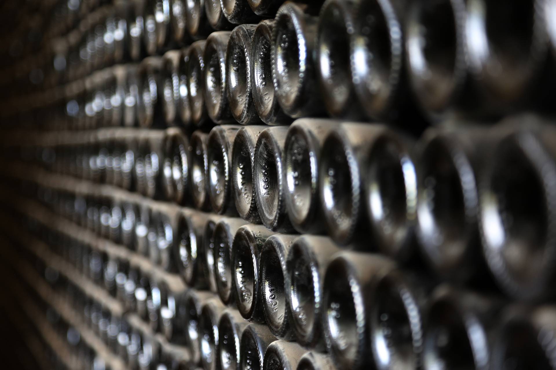 Visit and tasting 6 wines