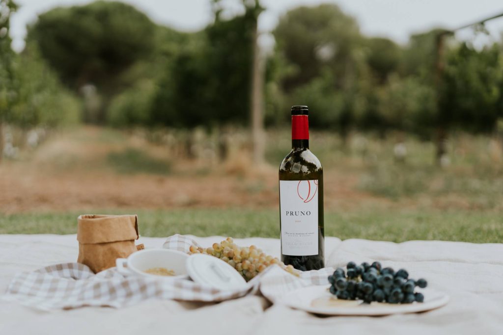 Picnic among vineyards