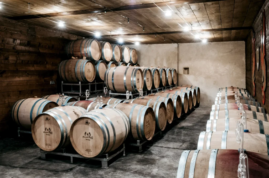 Visit and tasting of Biodynamic wines