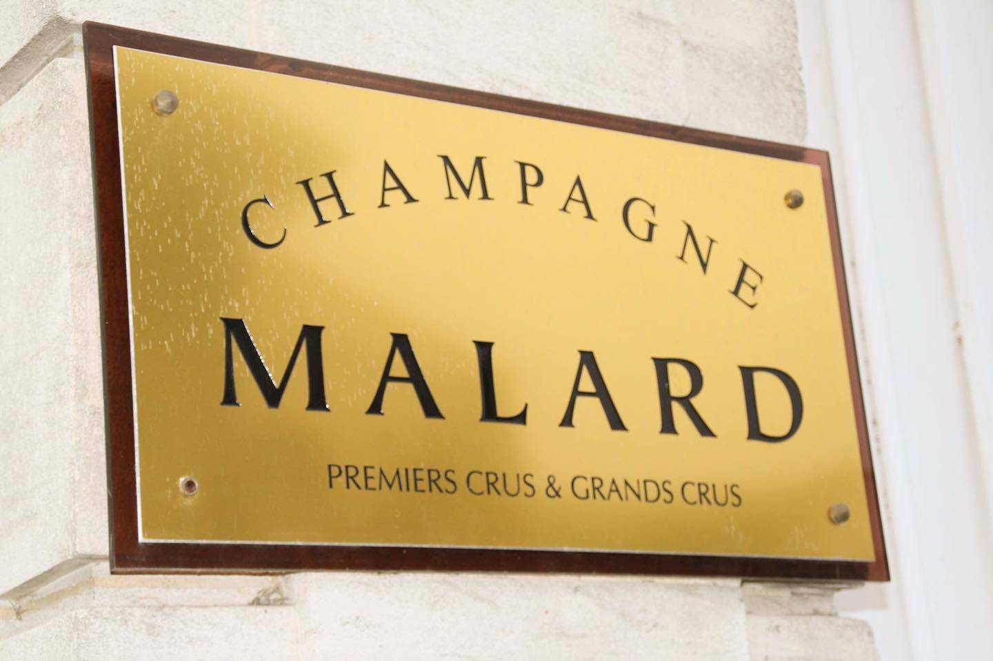 Tasting 3 Champagnes