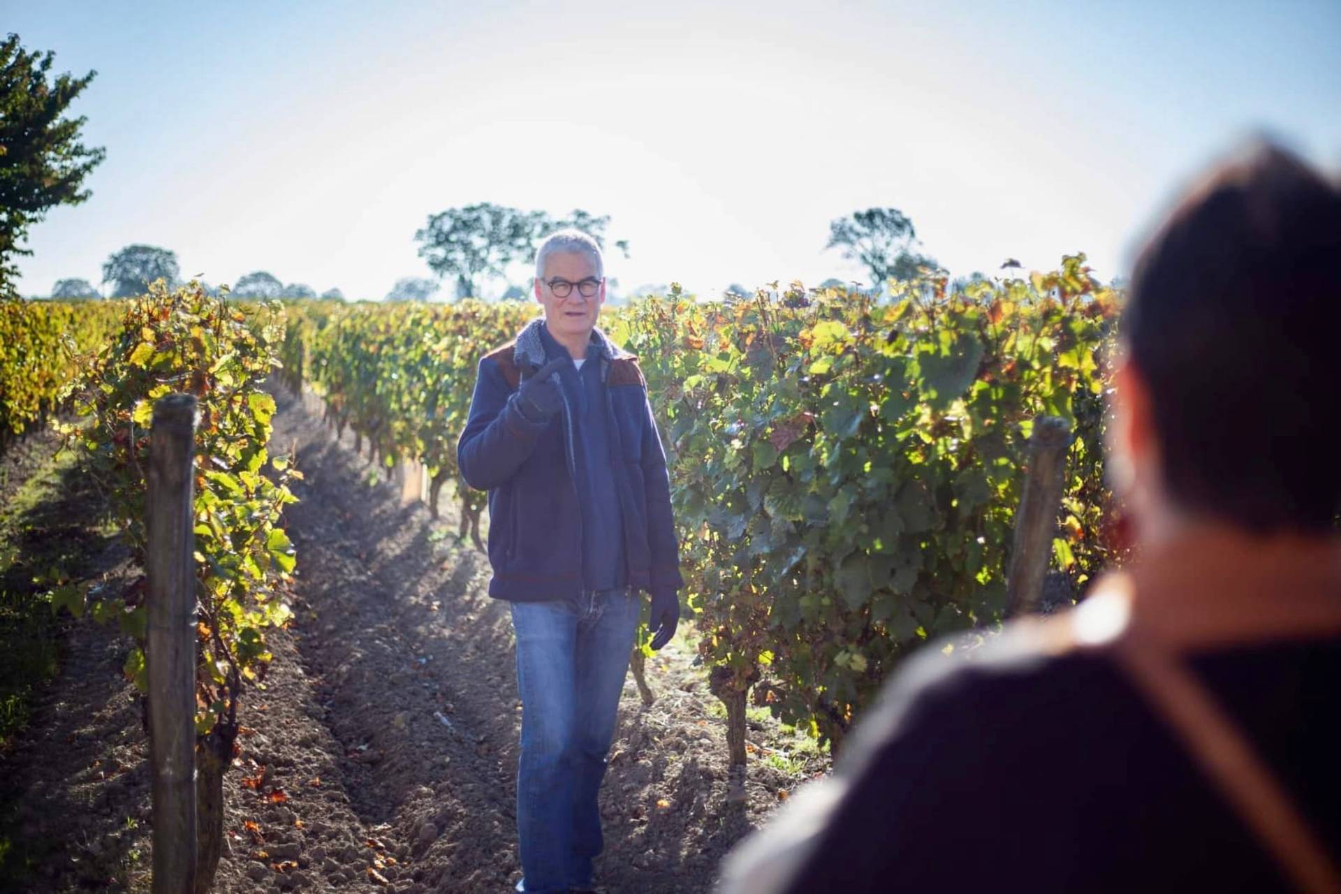 Visit our wine cellar, underground cellars and taste our wines