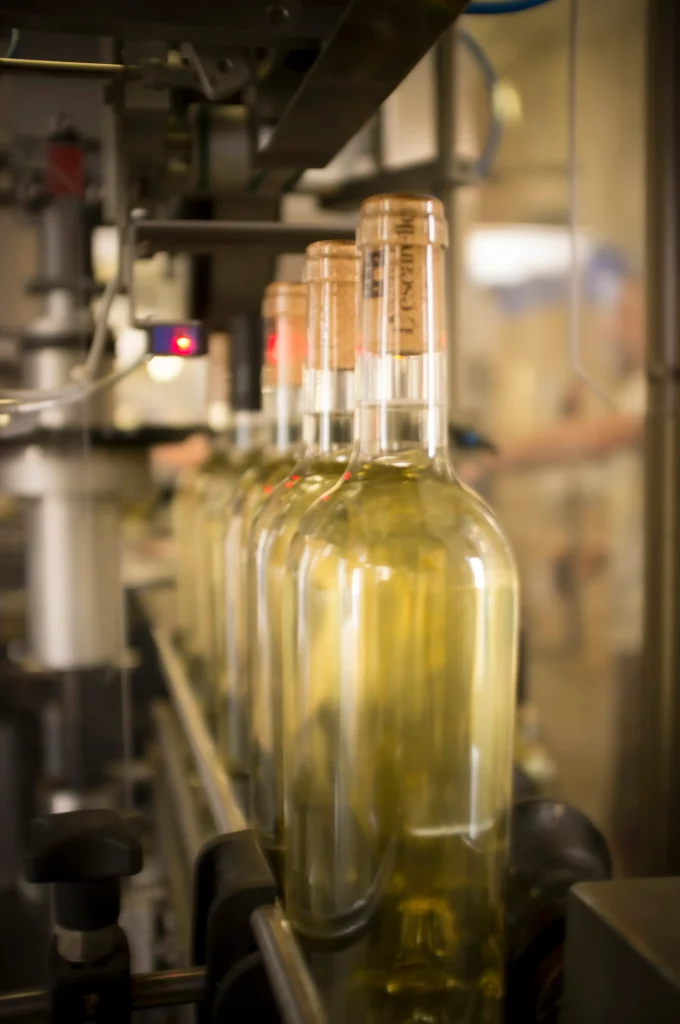 Visit one of the most modern cellars!