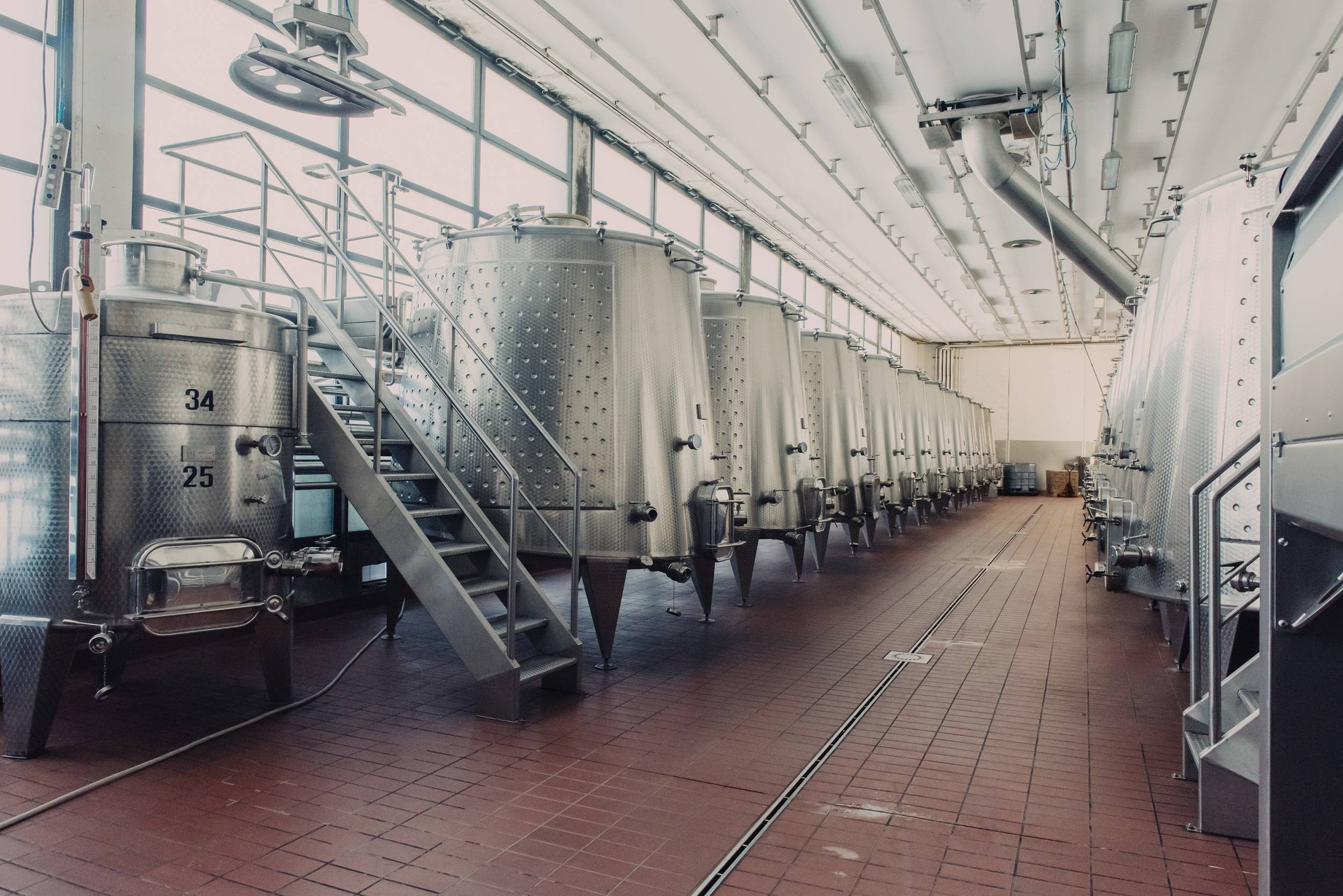 Visit to the cellar and Gastronomic Tasting