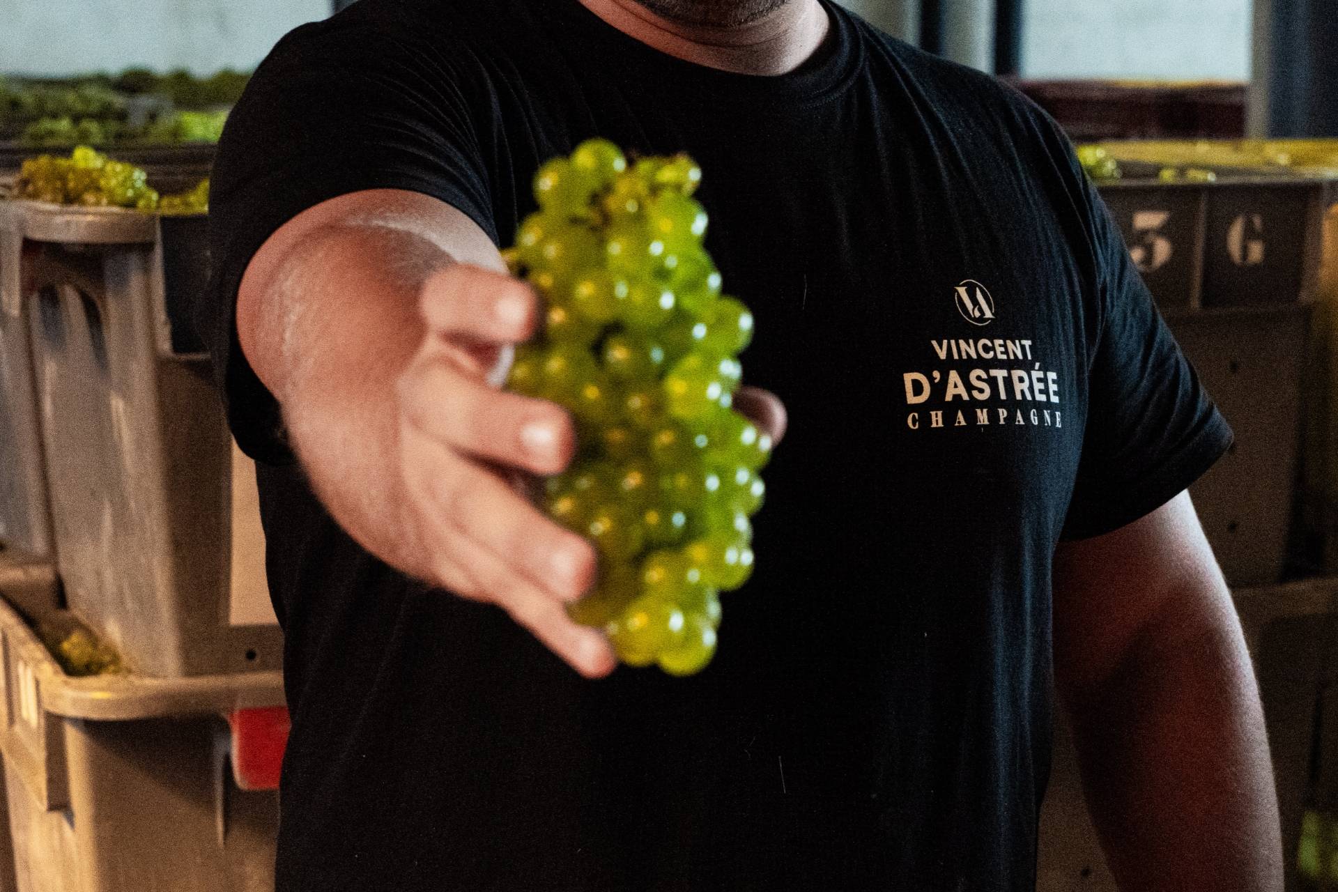 Harvest Workshop 2025