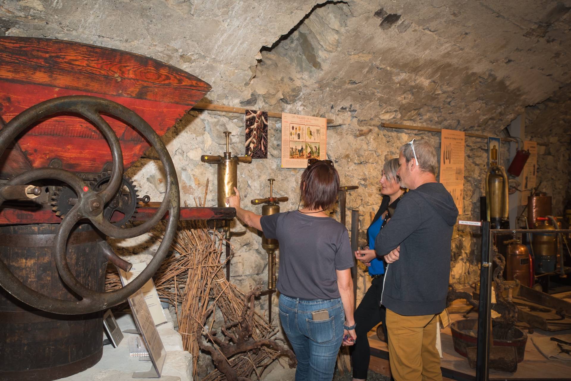 Guided tour of the museum and tasting