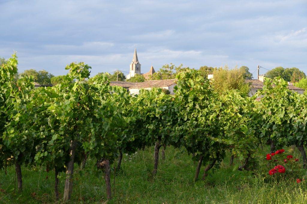 Nature walk and bio-aromatic tasting