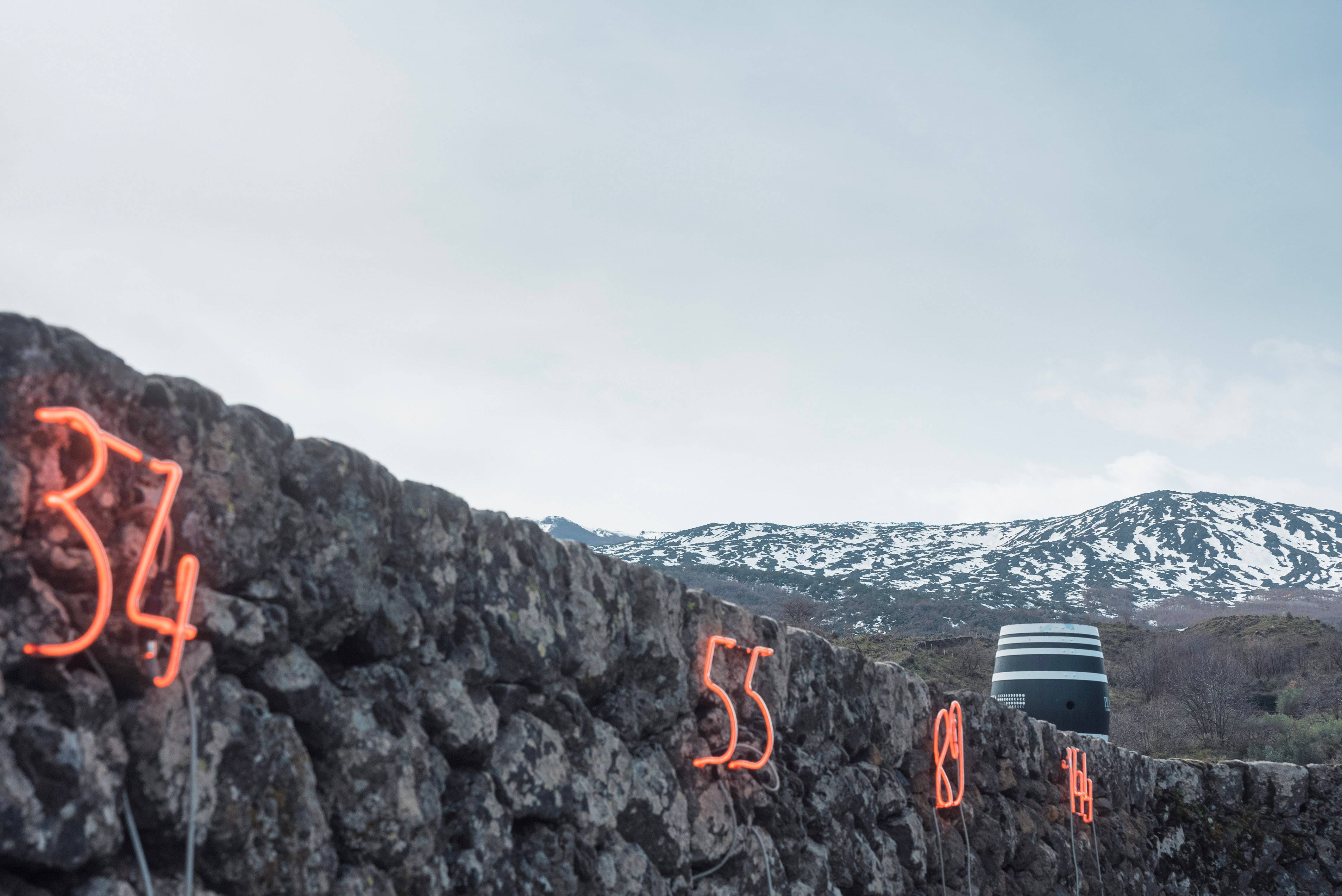 Flavors of the volcano wines, breads and cheeses