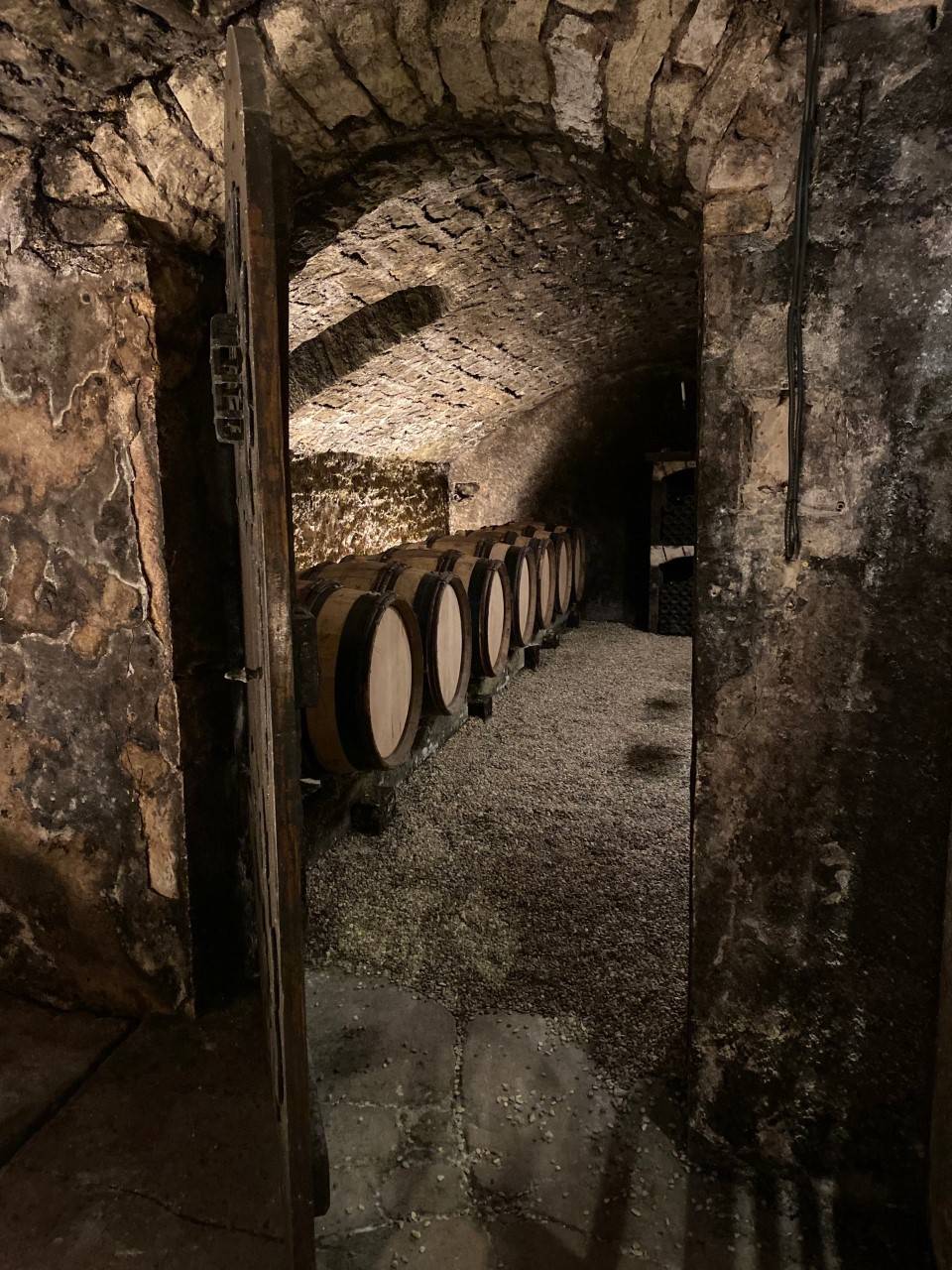 Passion for Burgundy