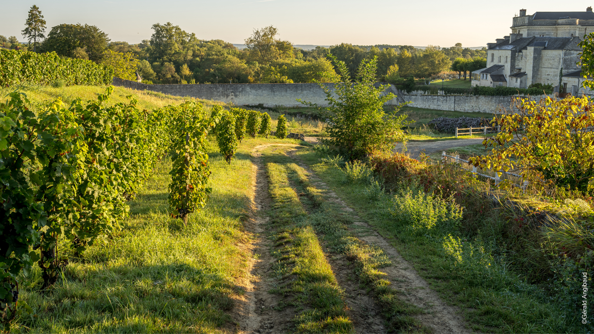 In the footsteps of Antoine Cristal