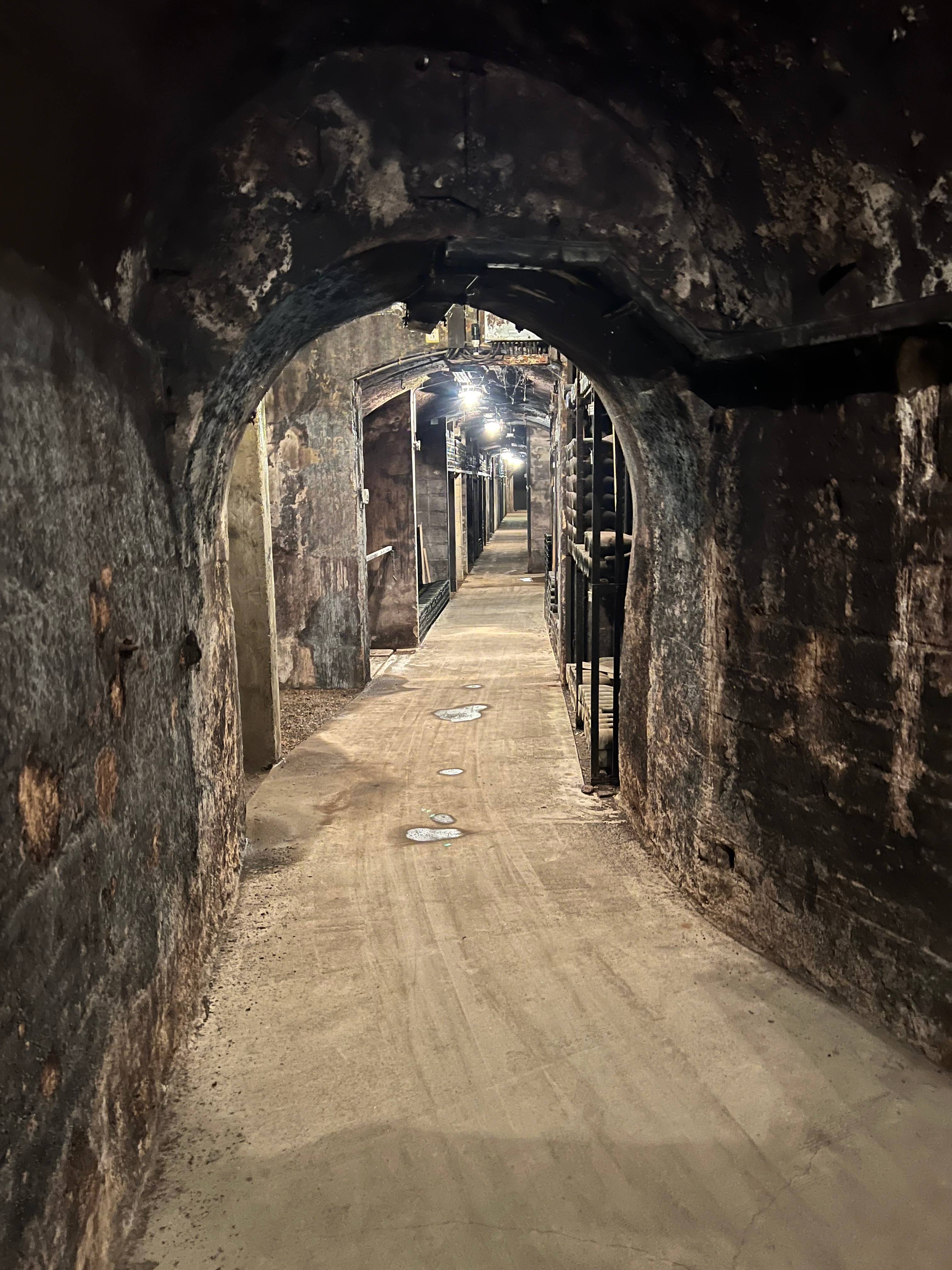 4-hour excursion to the Côte de Nuits with tasting