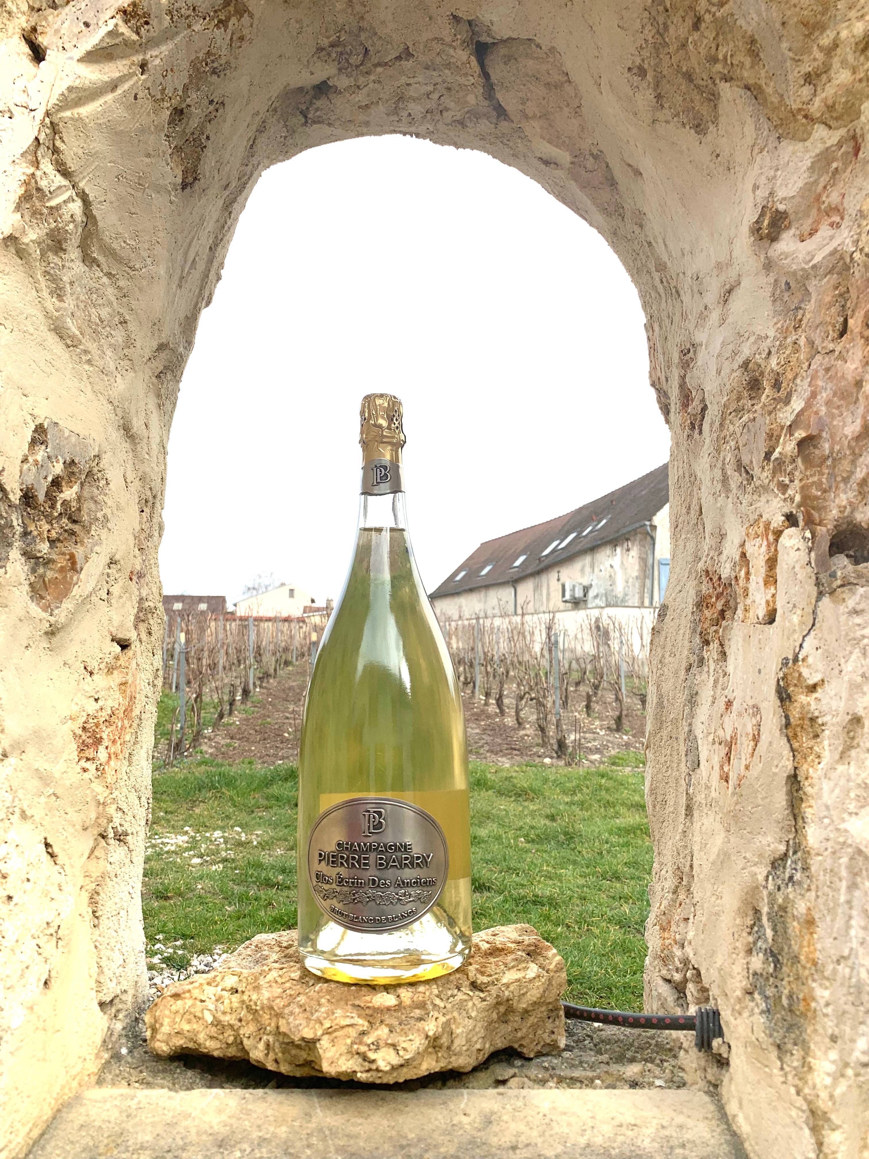 Visit and tasting of an exceptional Chardonnay