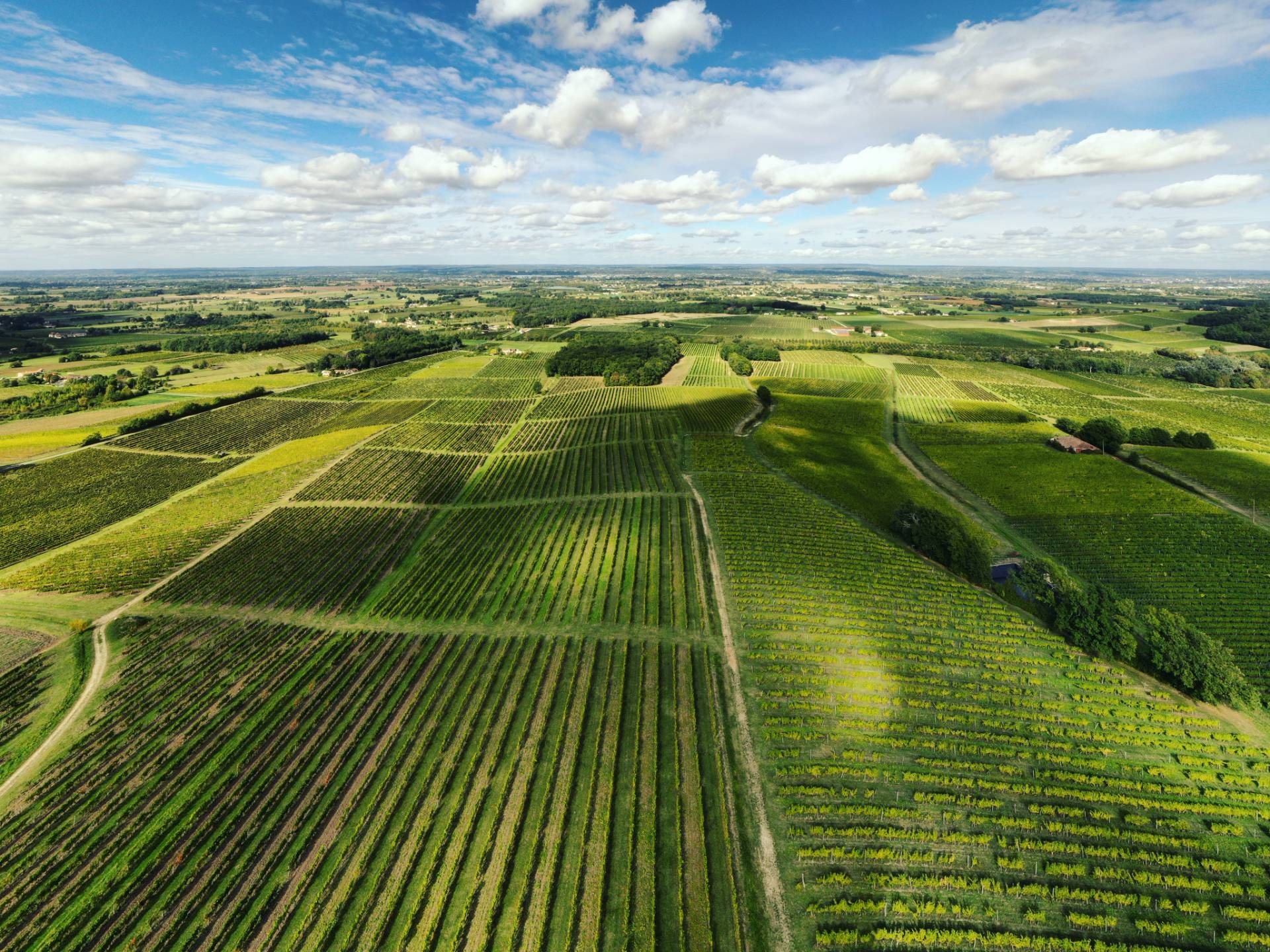 DOMAINE HAUT MONTLONG