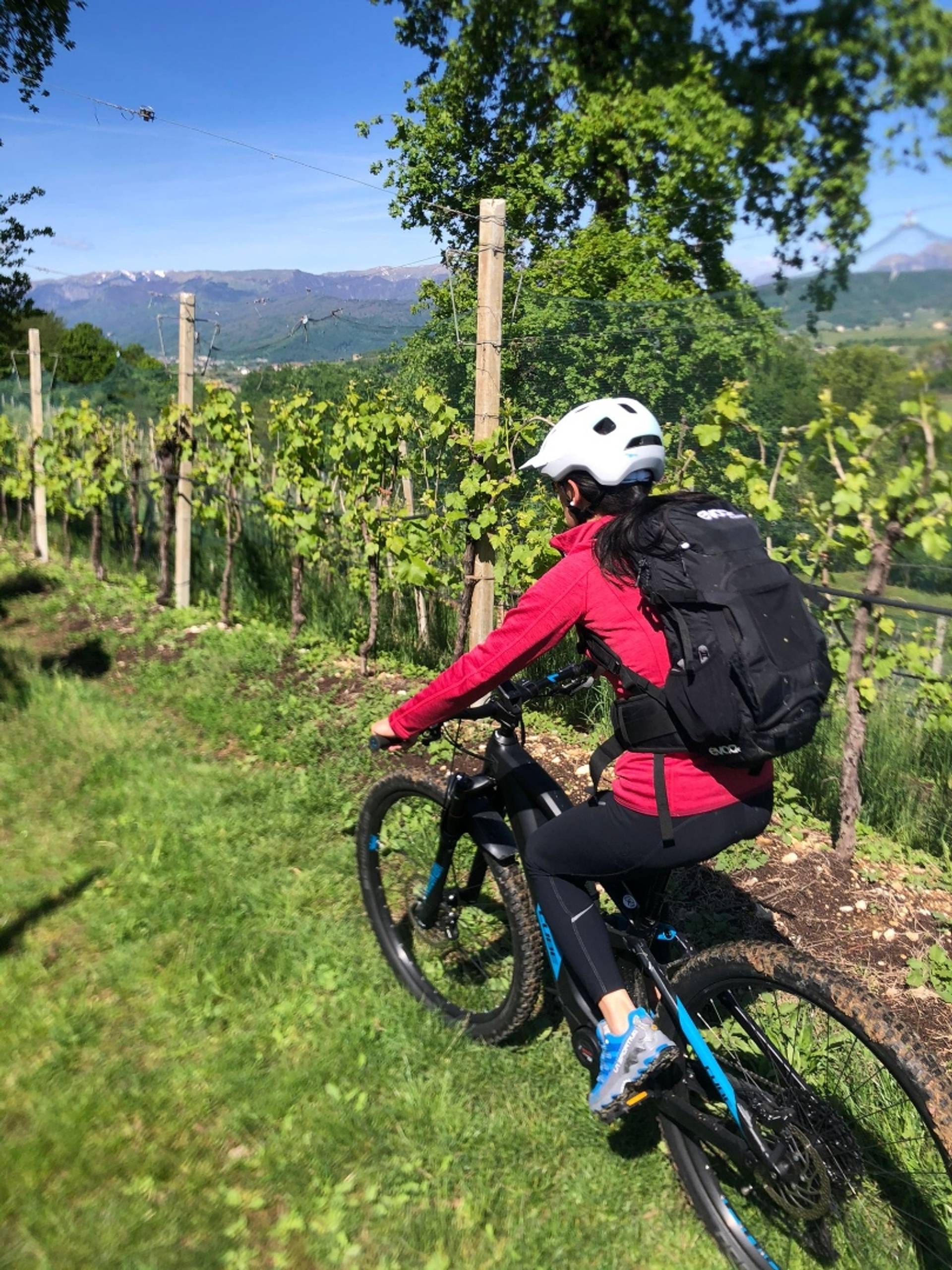 E-BIKE Tour with Valdobbiadene DOCG tasting