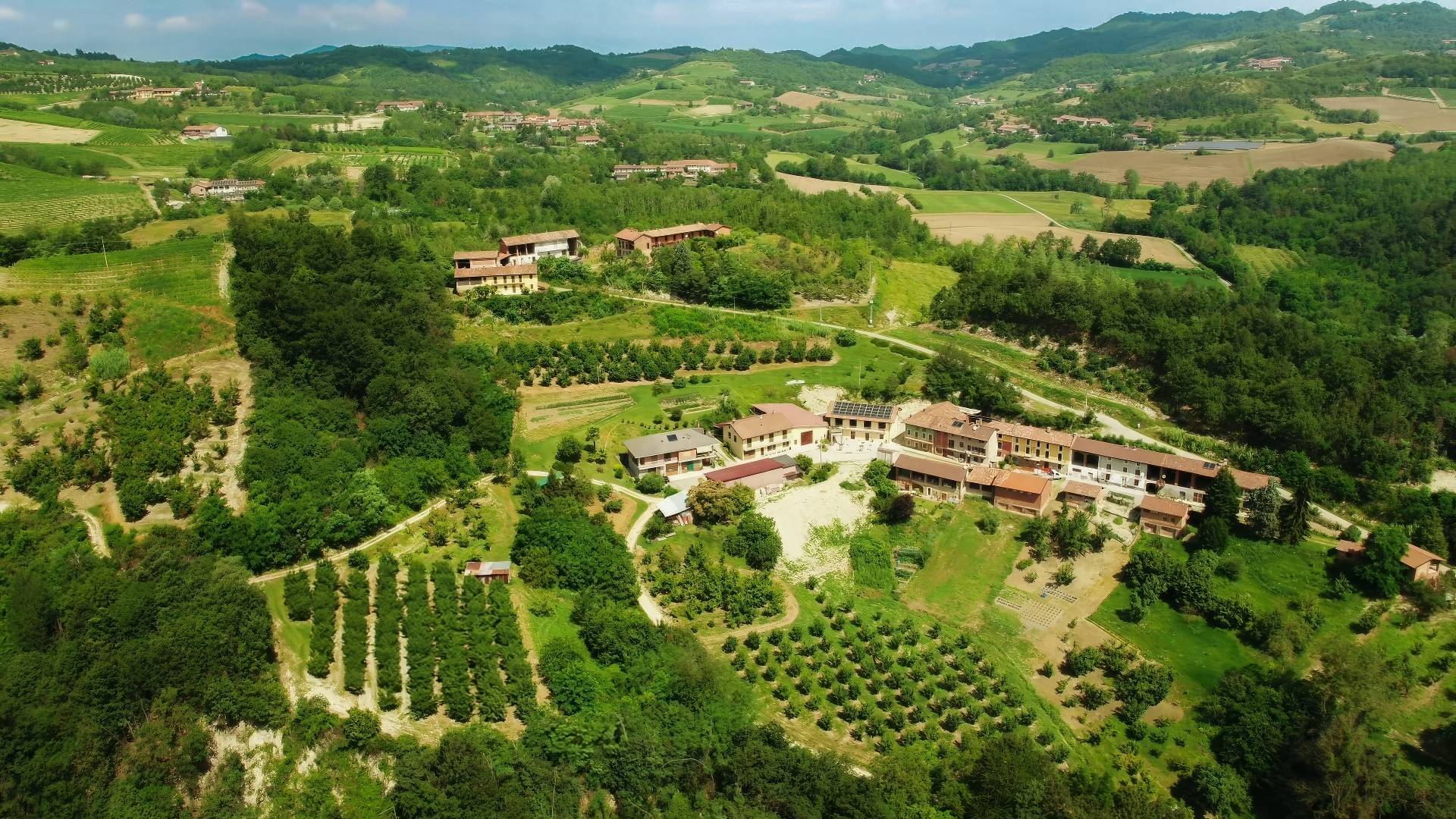 CANTINA ROGGERO