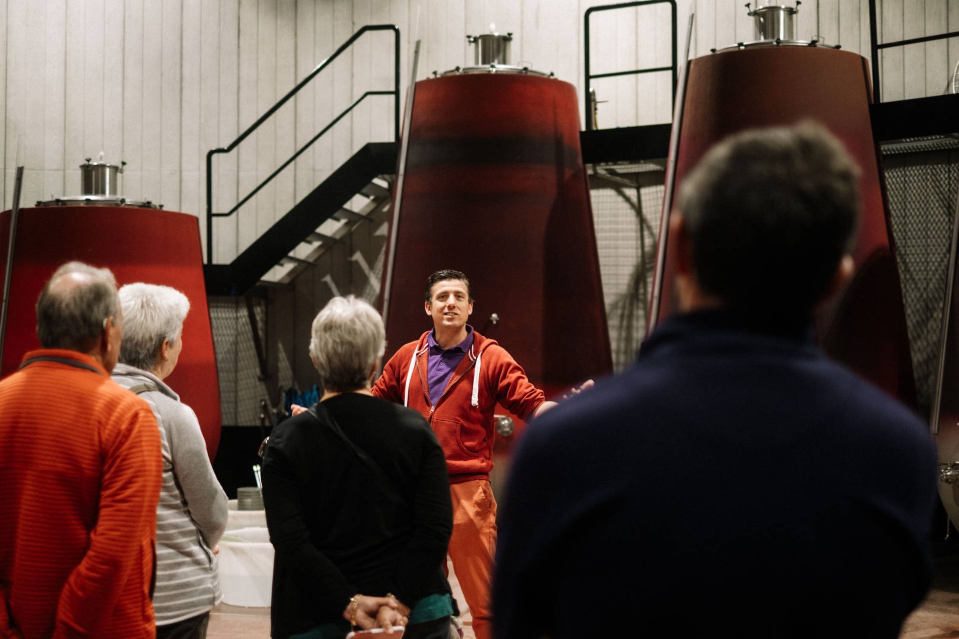 Visit of the cellar and tasting of the Domaine’s organic wines