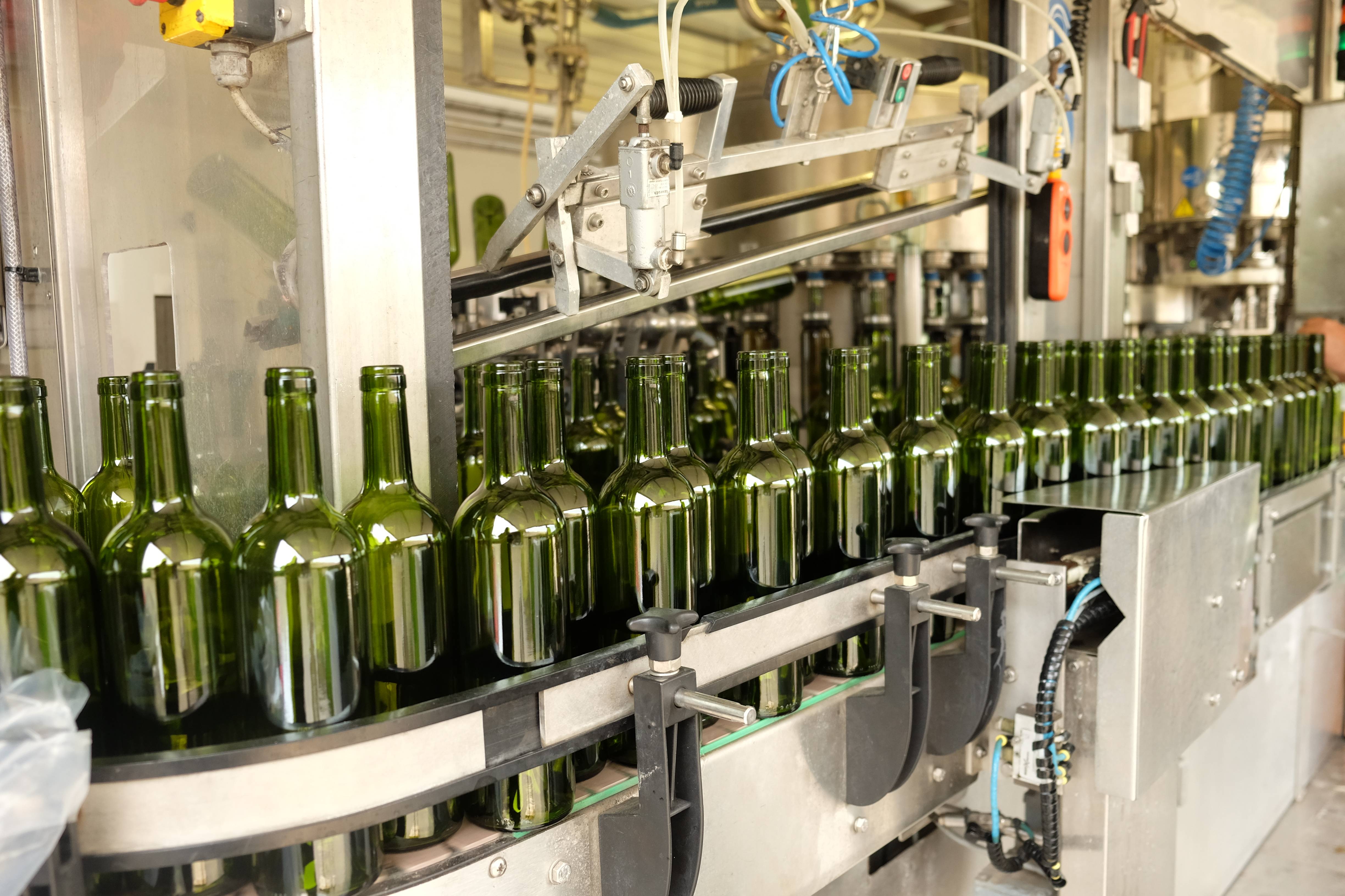 Cellar Visit & Wine Tasting