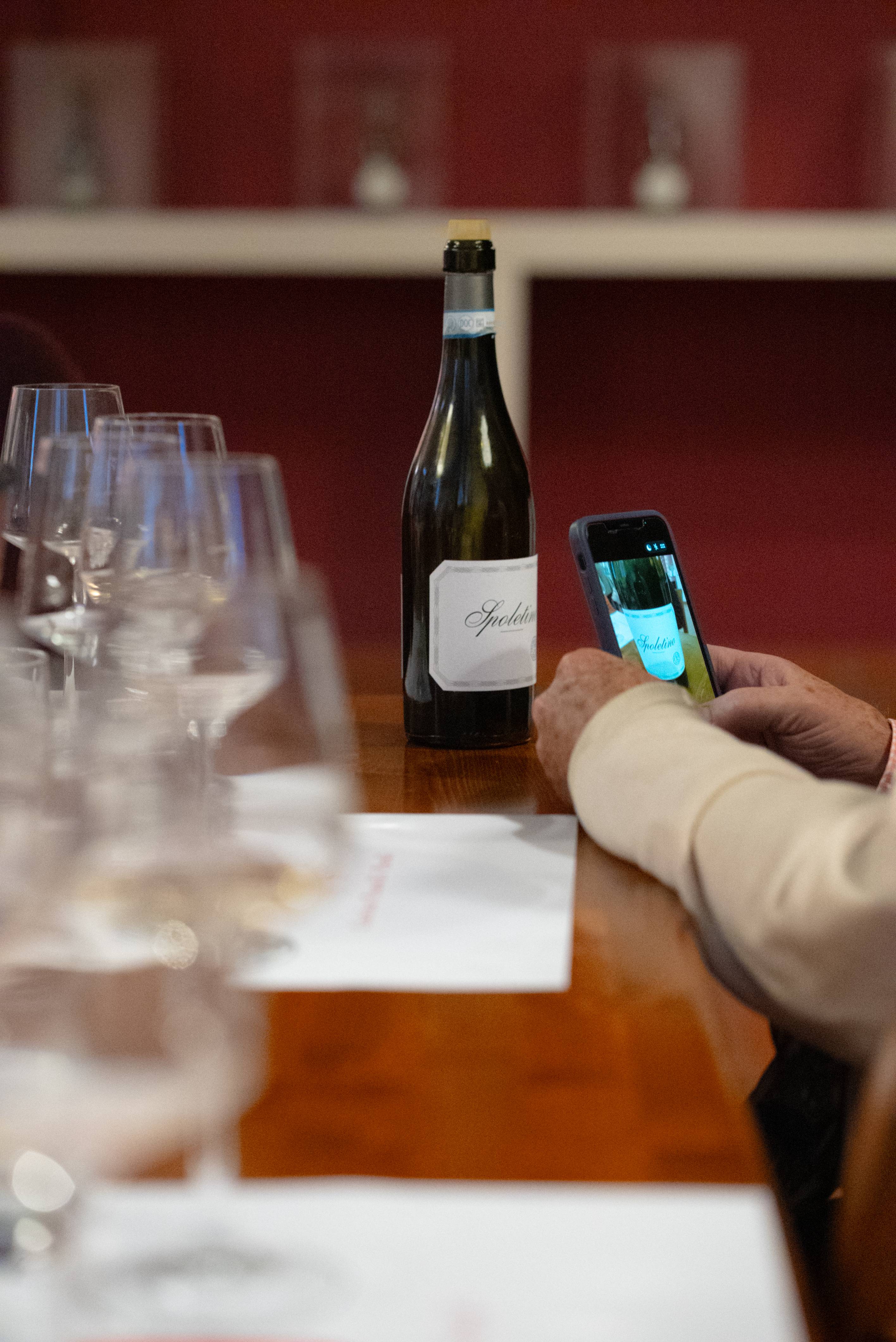 All White Wines from Cantina Fratelli Pardi