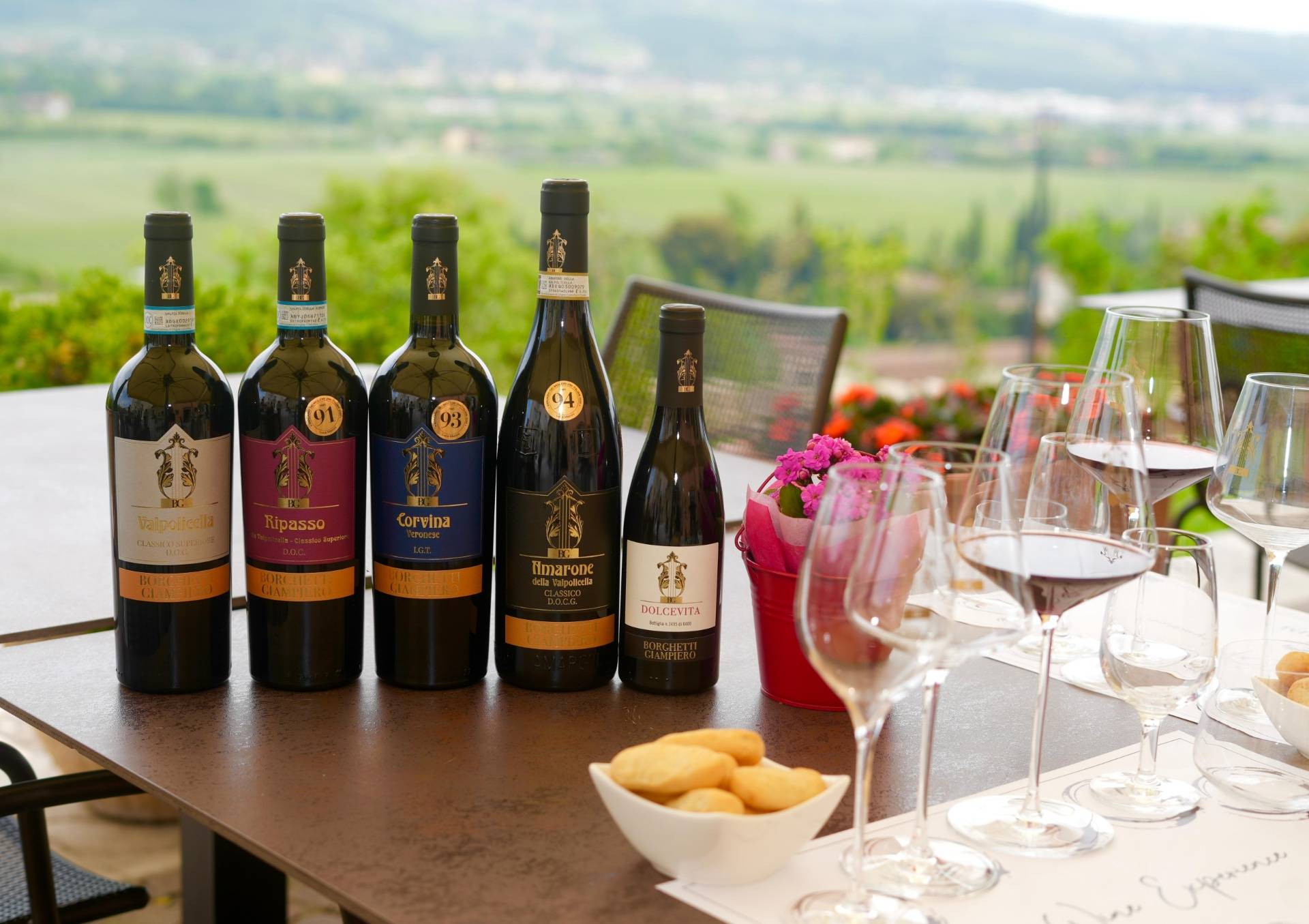 Wine tasting and panoramic view of Valpolicella