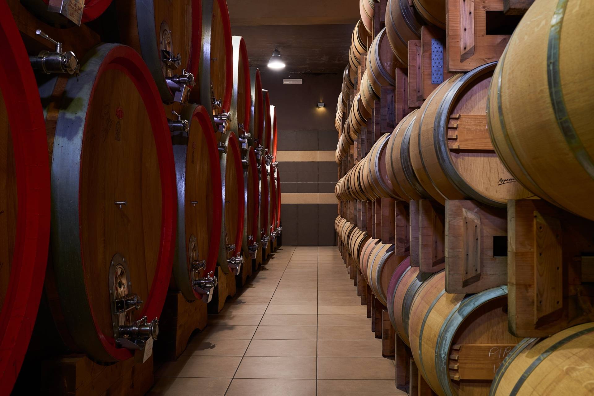 Negroamaro Experience