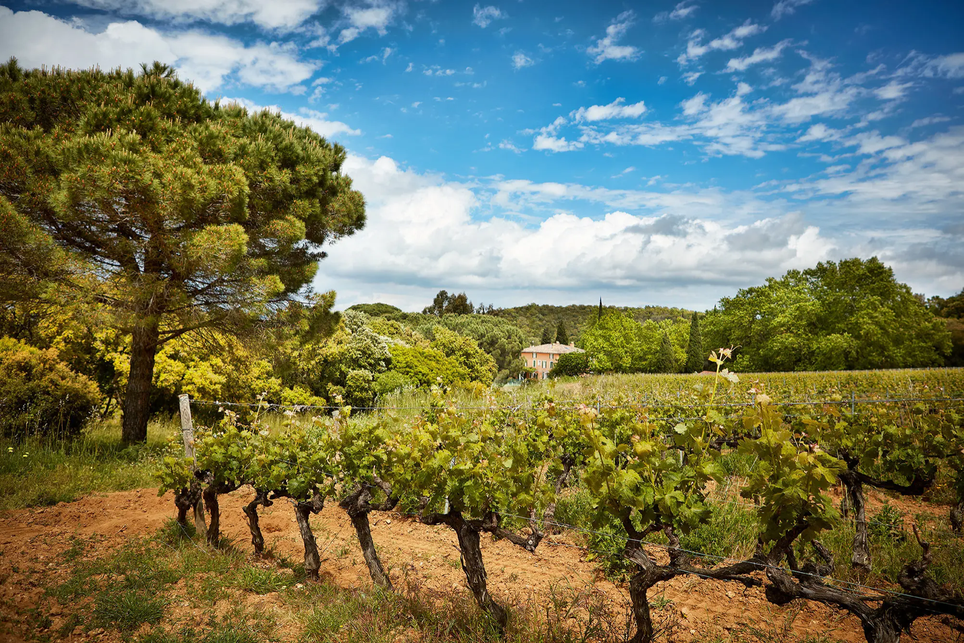 Immersive visit with our Head of Culture