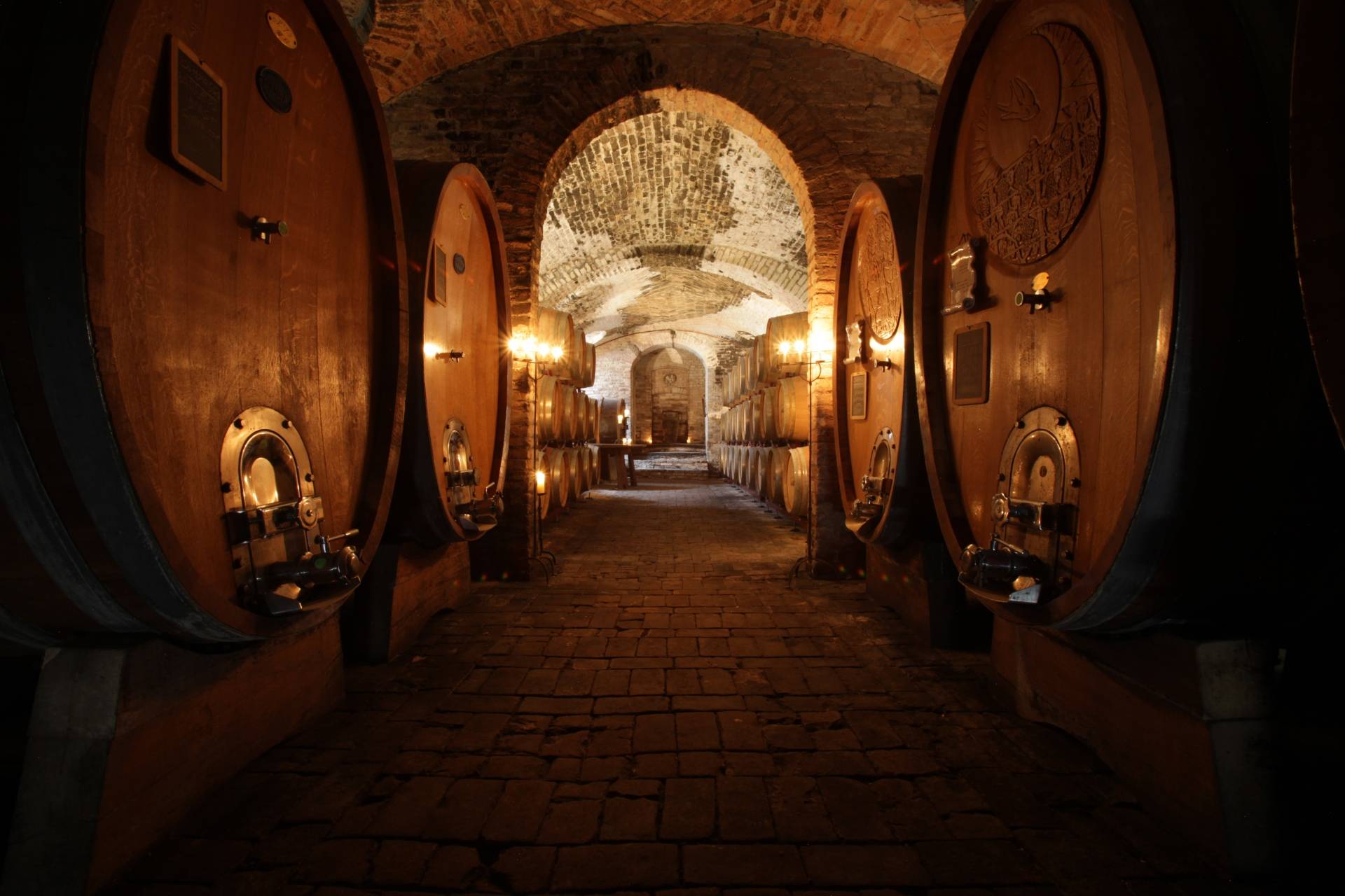 Visit the wine museum and cellars