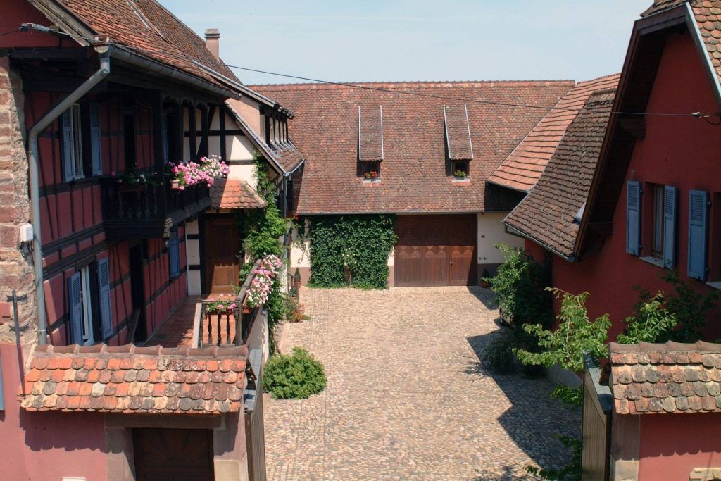 Discovering the wines and terroirs of Dahlenheim