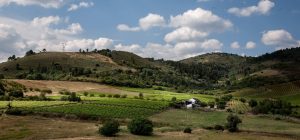 BODEGA LUNA BEBERIDE