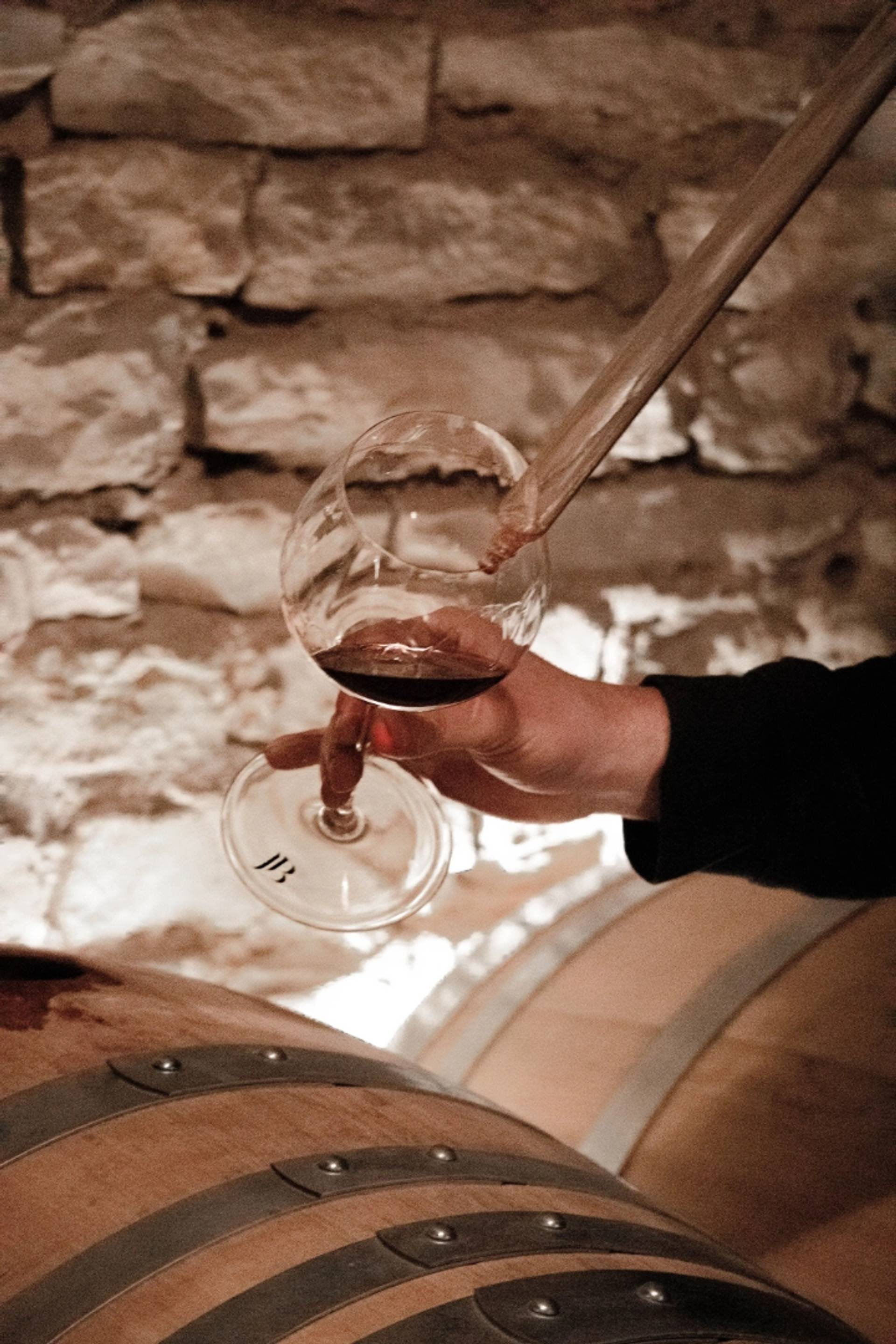 Tasting experience “The five coasts”