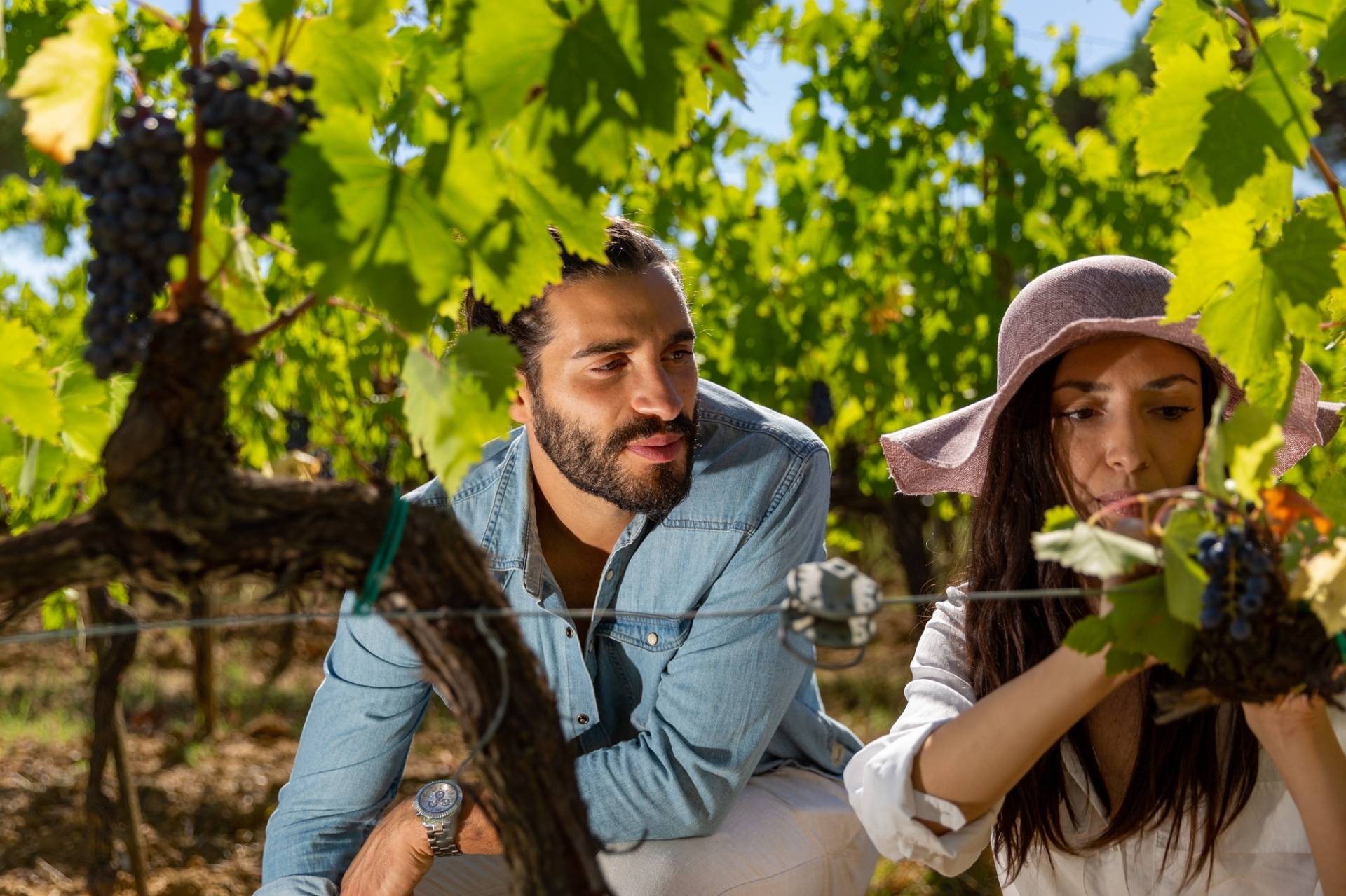 At the School of Wine