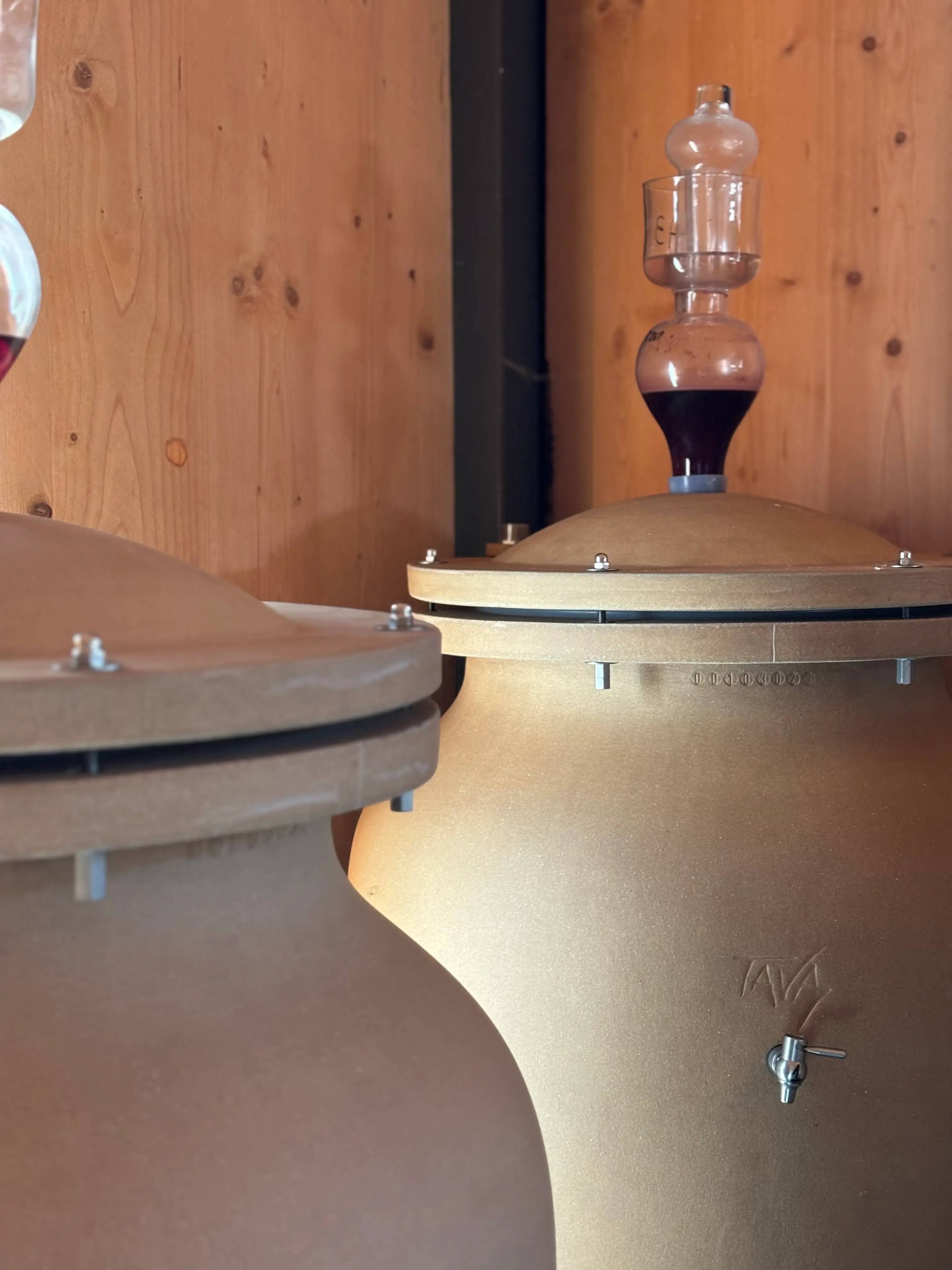 From Cellar to Glass